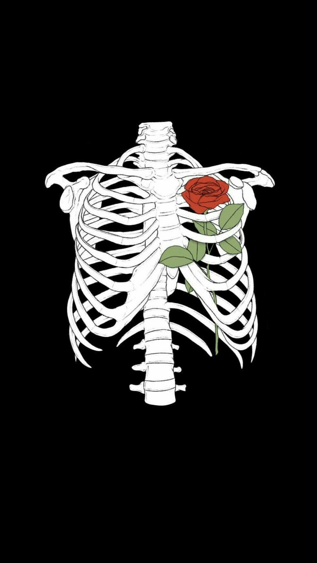Bones and flower. r/iWallpaper