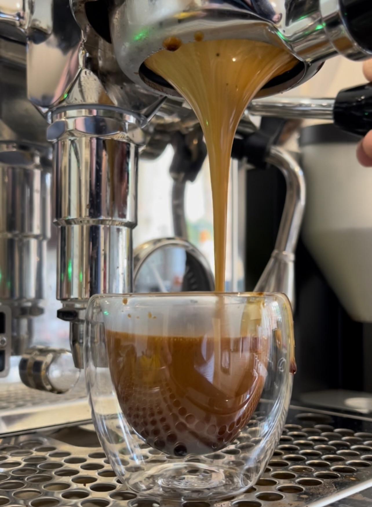 Fresh beans r/espresso