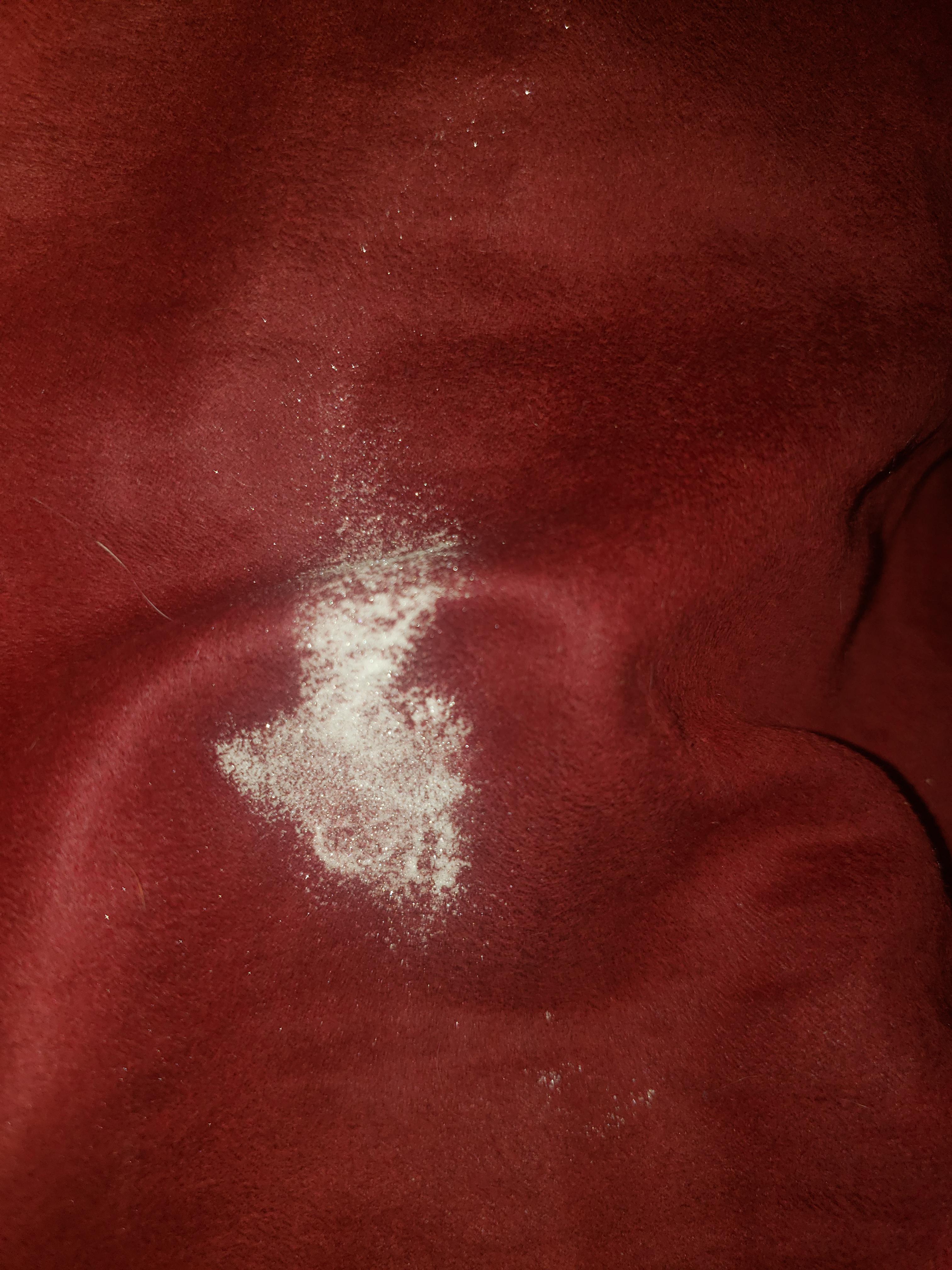 My cat peed on my bean bag because she couldn't get to her litter box