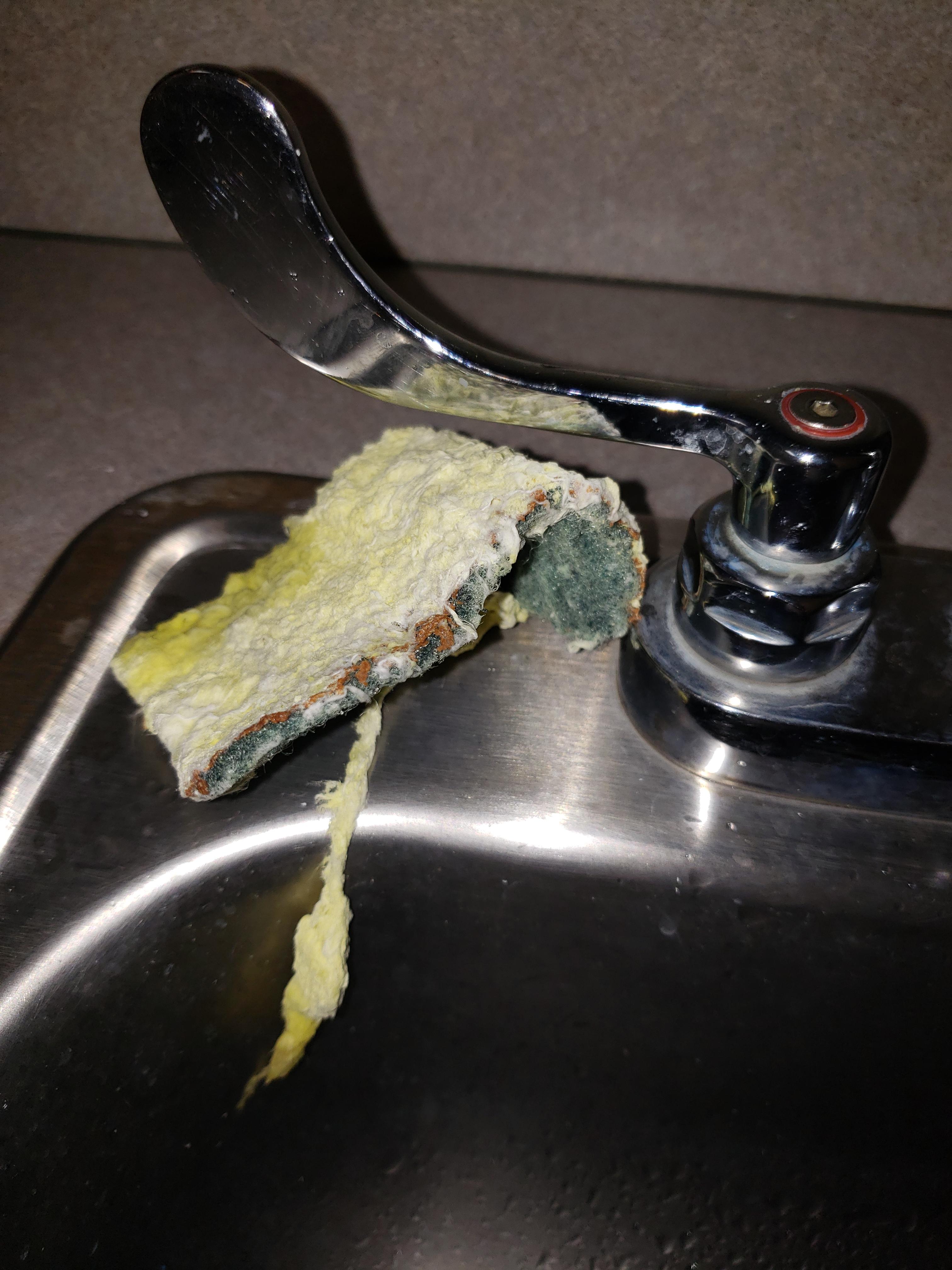 The only sponge in my jobs kitchen. r/trashy