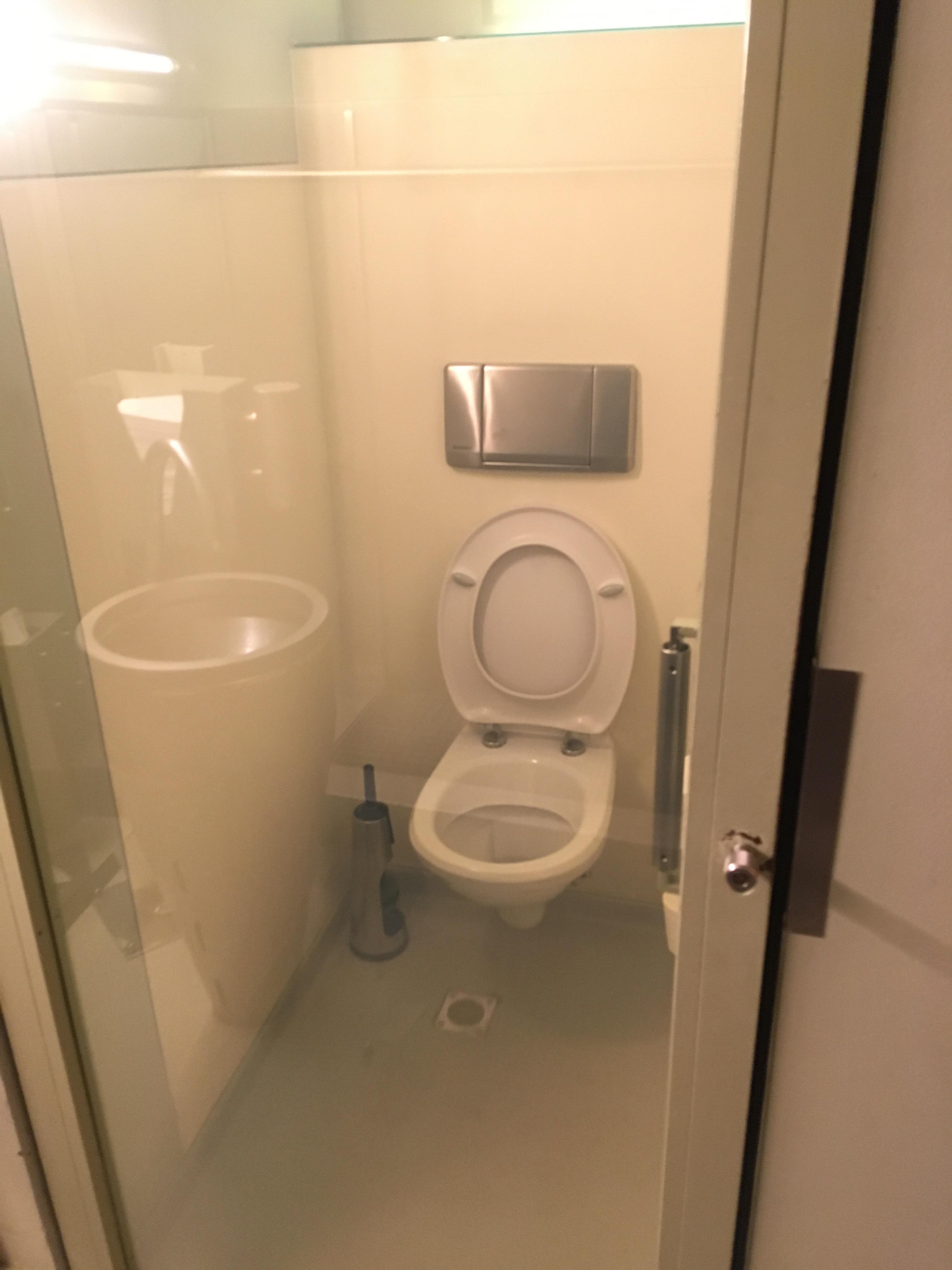 This clear glass door for the toilet r/CrappyDesign
