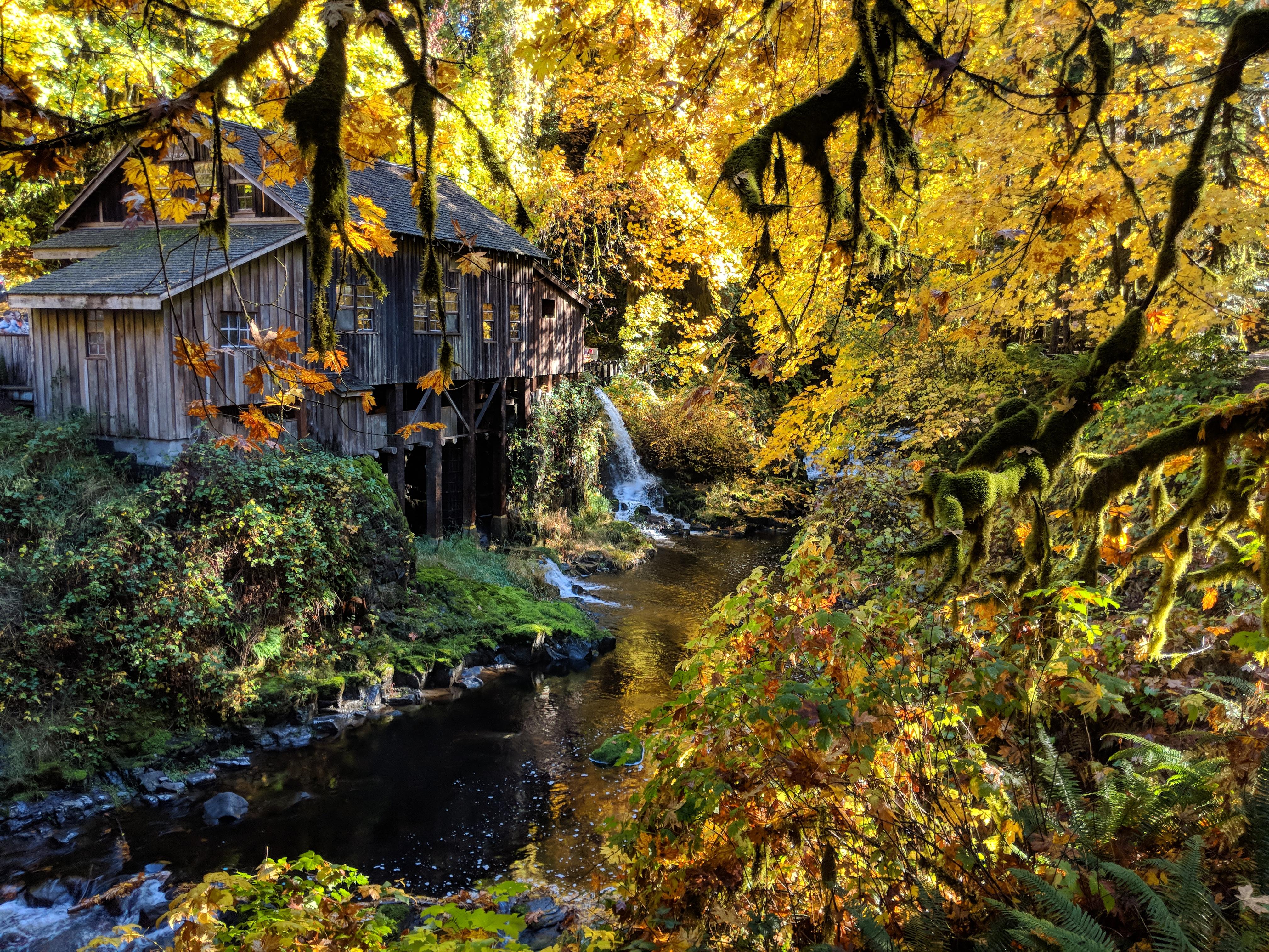 [4032x3024][OC] Cedar Creek Grist Mill in Woodland, WA. r/AutumnPorn