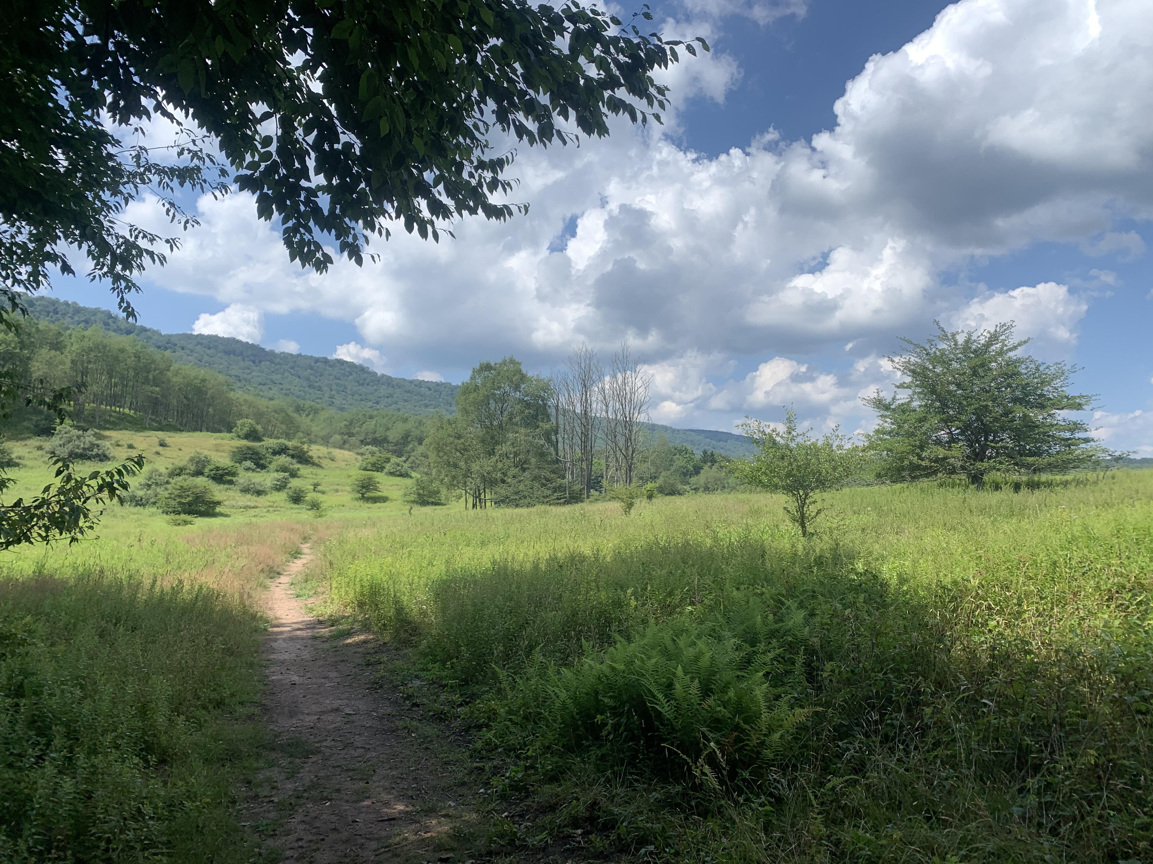 Land Of Canaan Promised Land