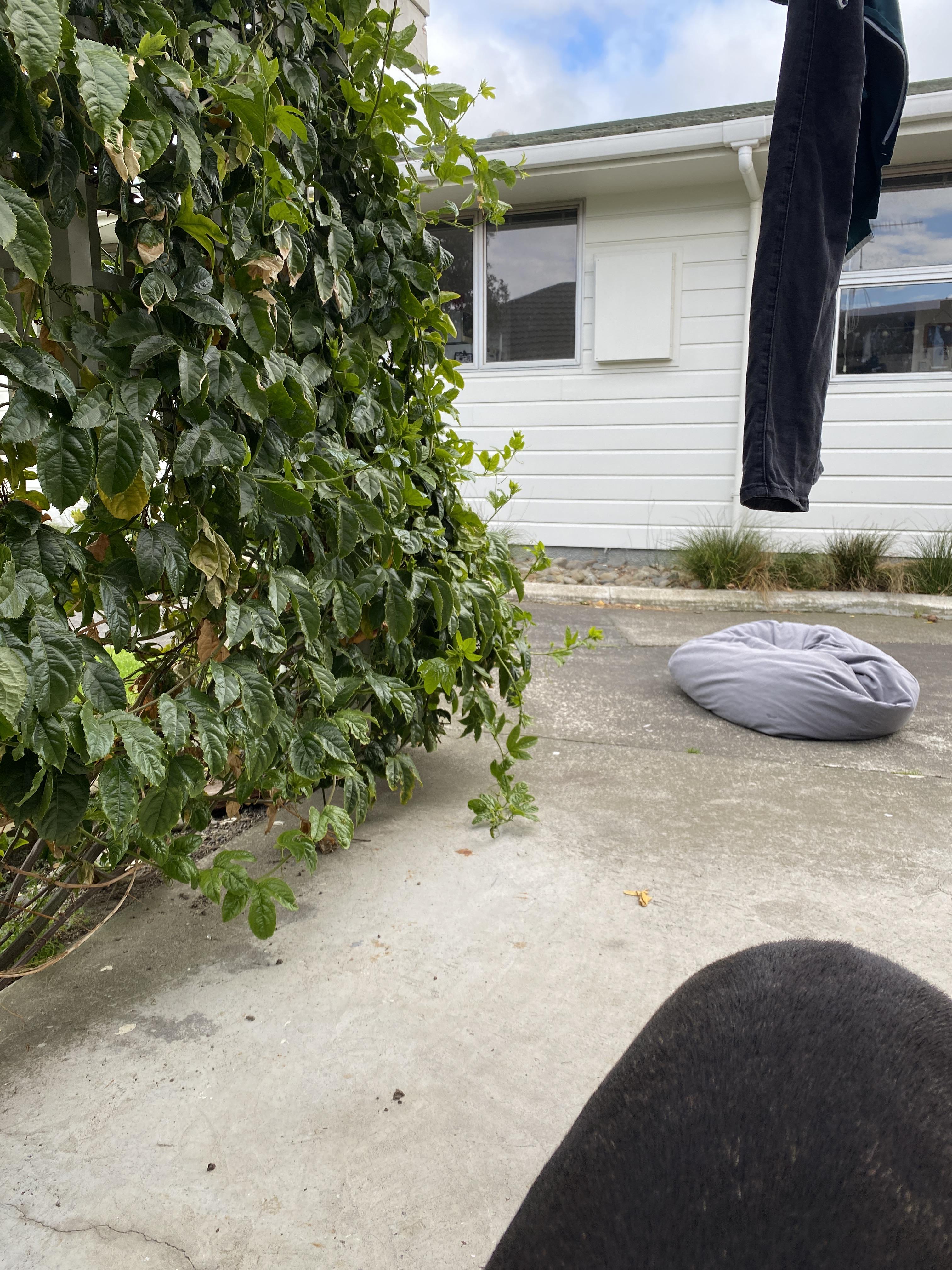 Running cable from house to outside office concrete cutter