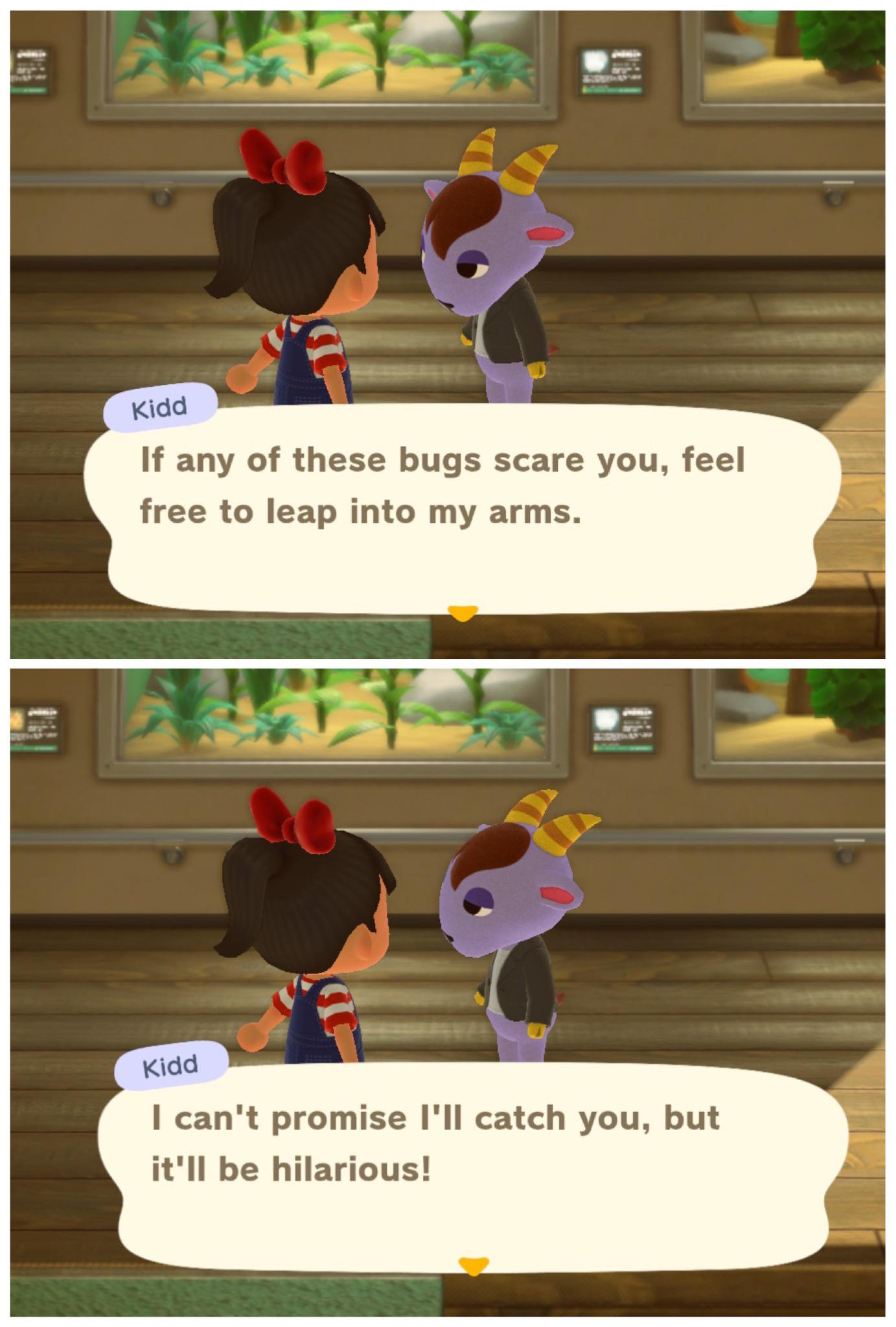 Don’t we all want a friend like Kidd xD r/AnimalCrossing