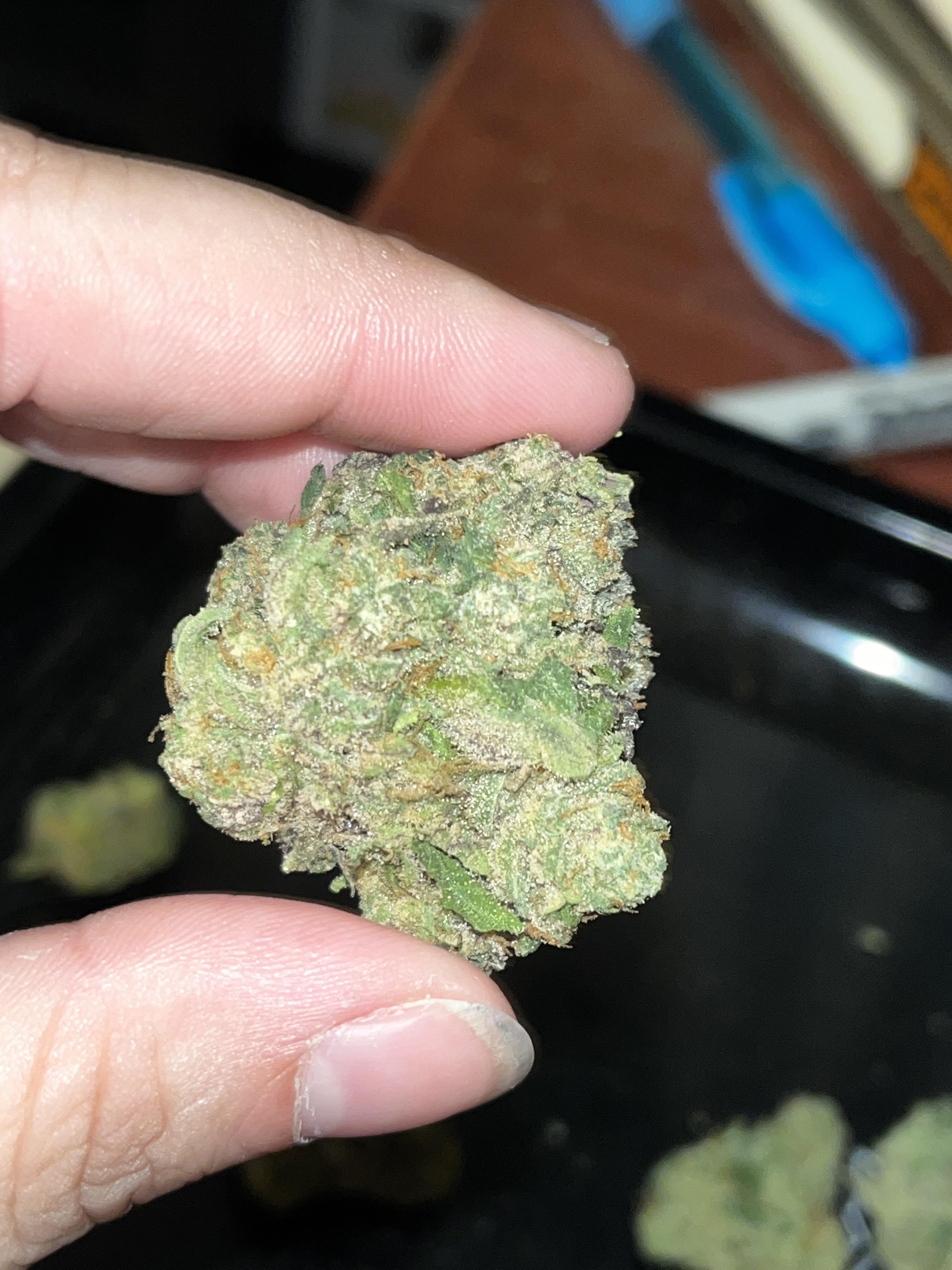 Cookies White Runtz MissouriMedical