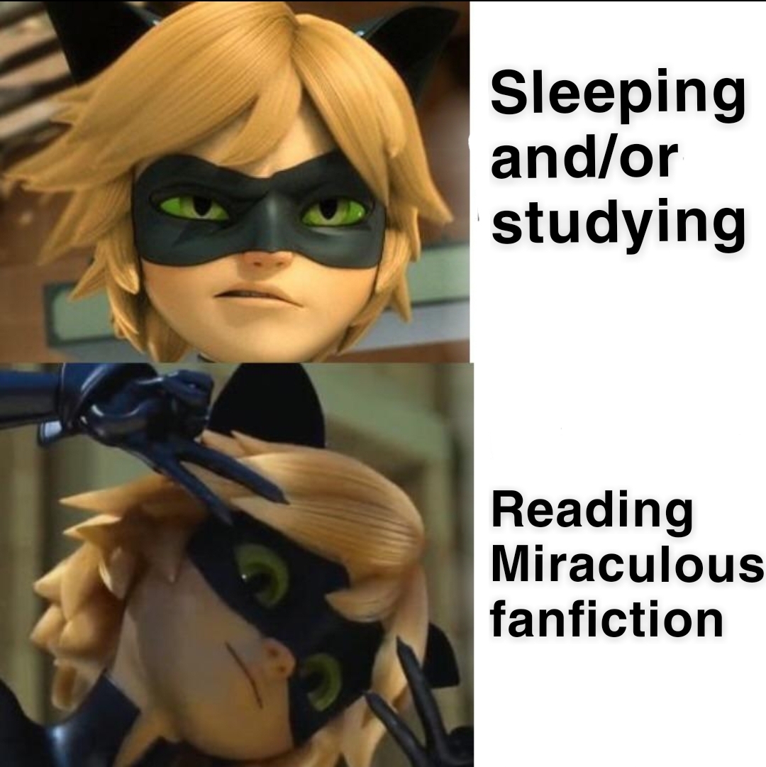 Image de Chat Cat Noir And Ladybug Ao3