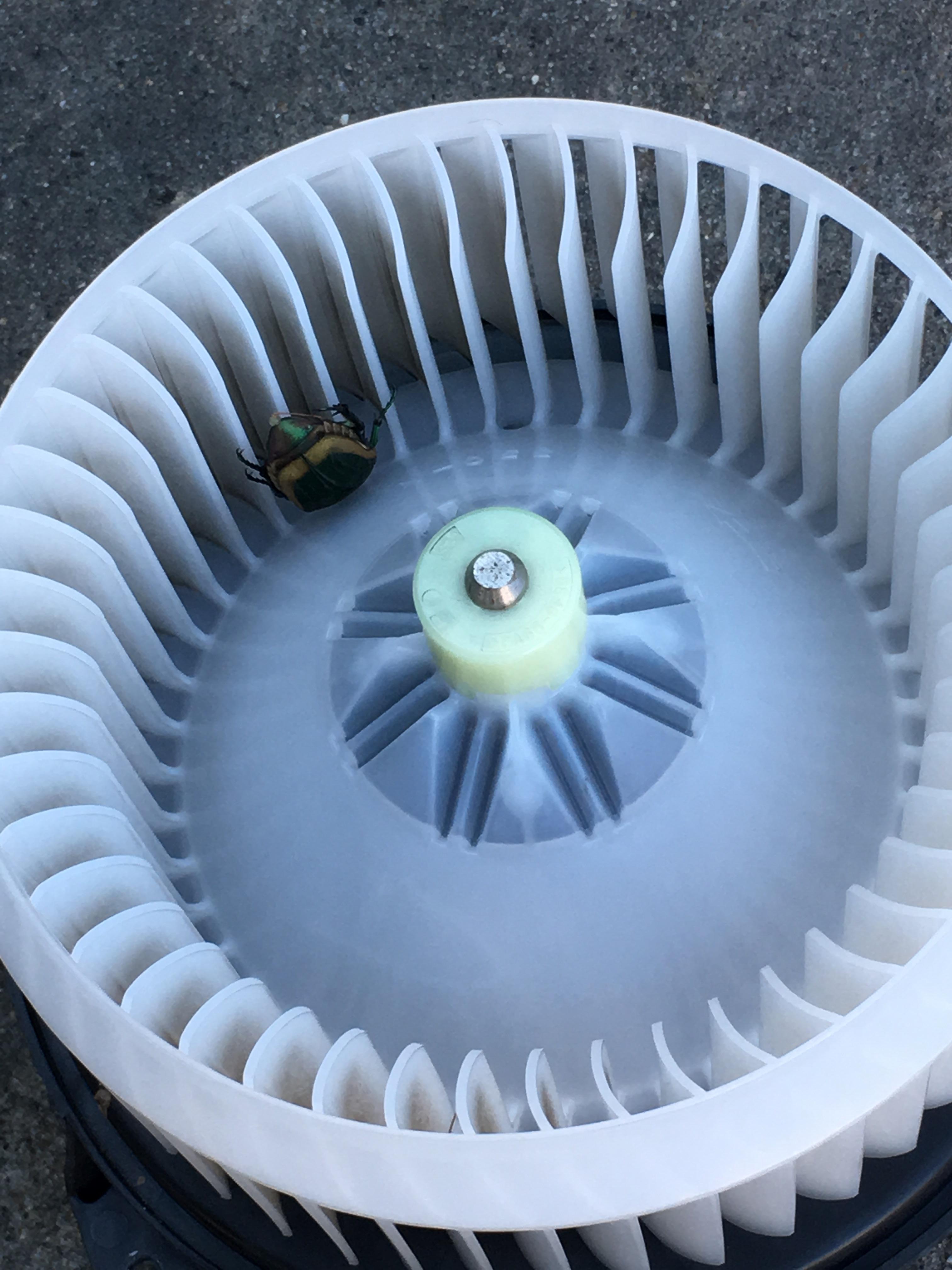 C/s blower making noise