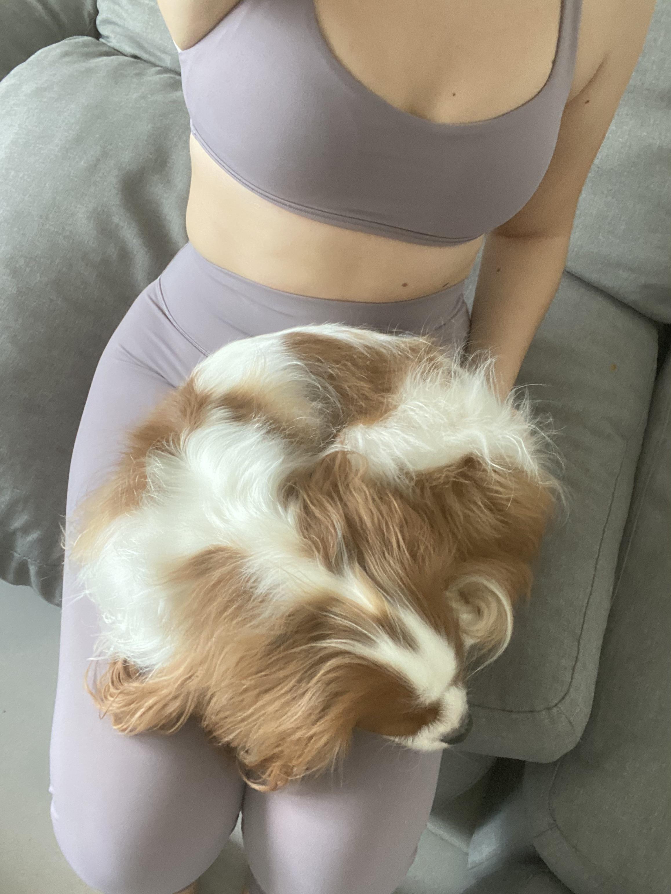 Mysterious new wunder under material... Is it pethair resistant