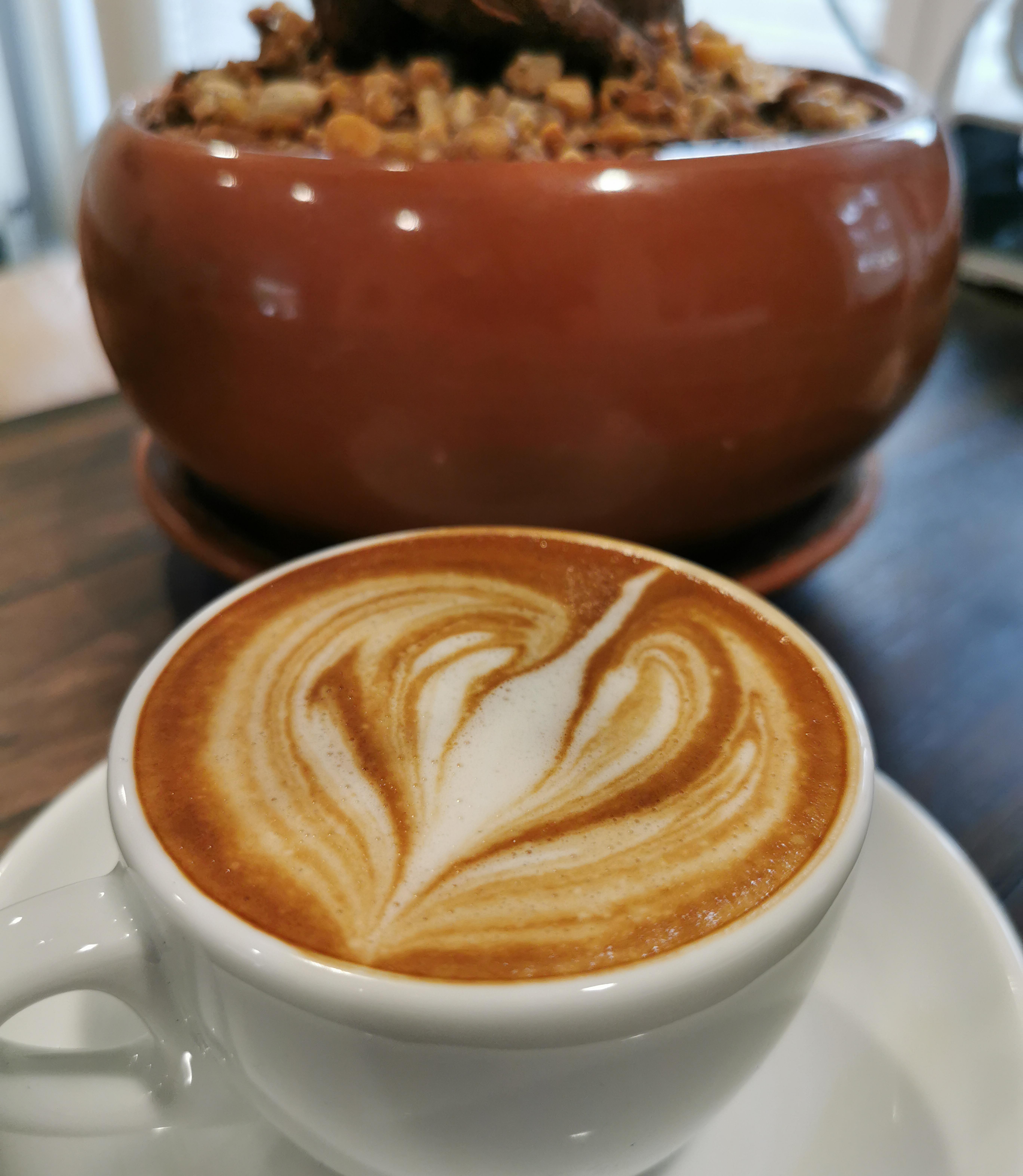 Finally getting a handle on frothing milk for latte art! r/espresso