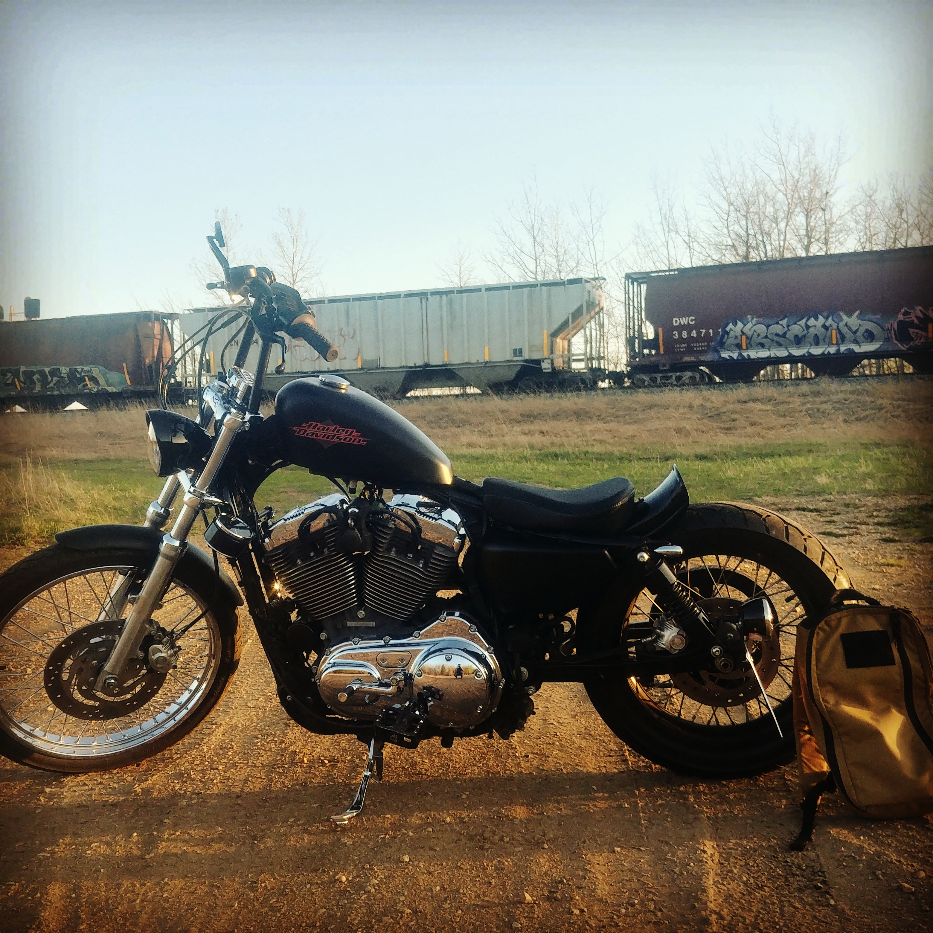 First time posting. Summer can't come fast enough. My 2012 sportster