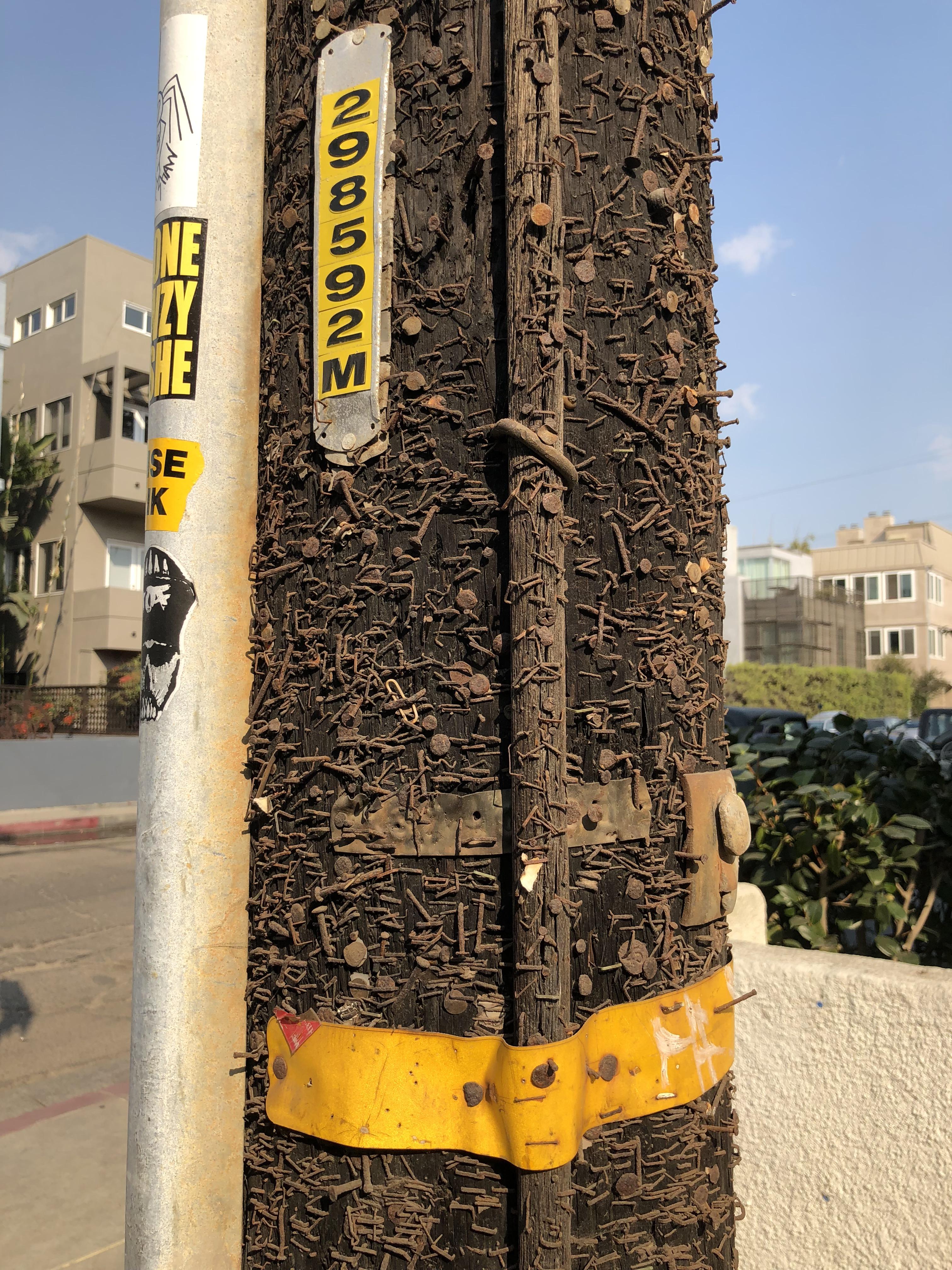 This telephone pole has had a few flyers staples to it through the