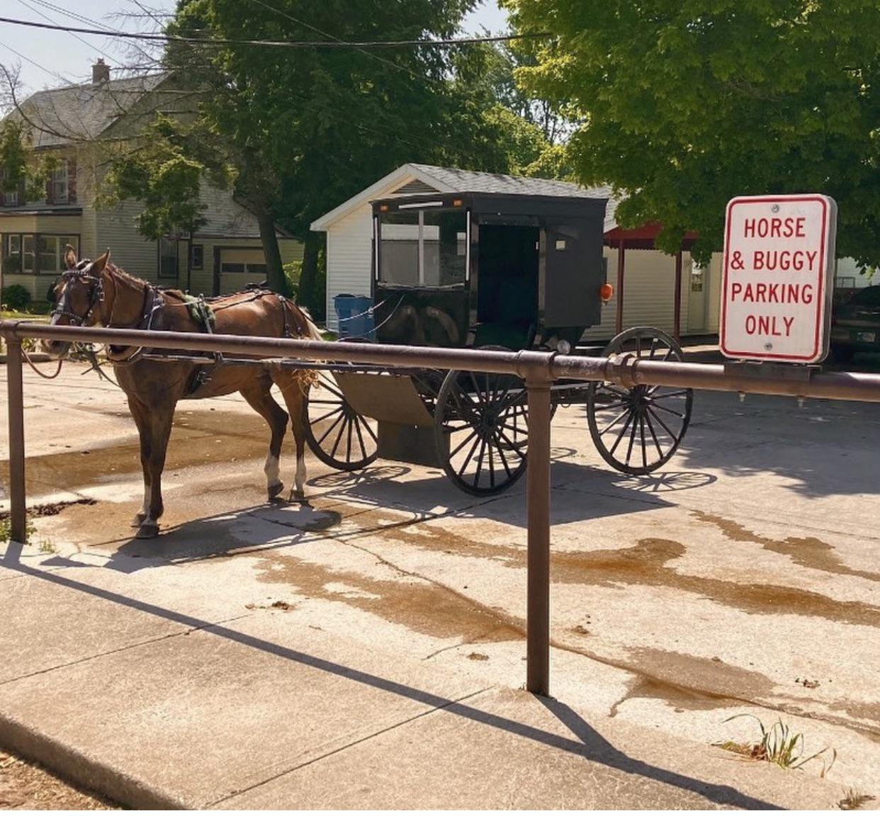 A “horse and buggy parking only” section at a library in Middlebury