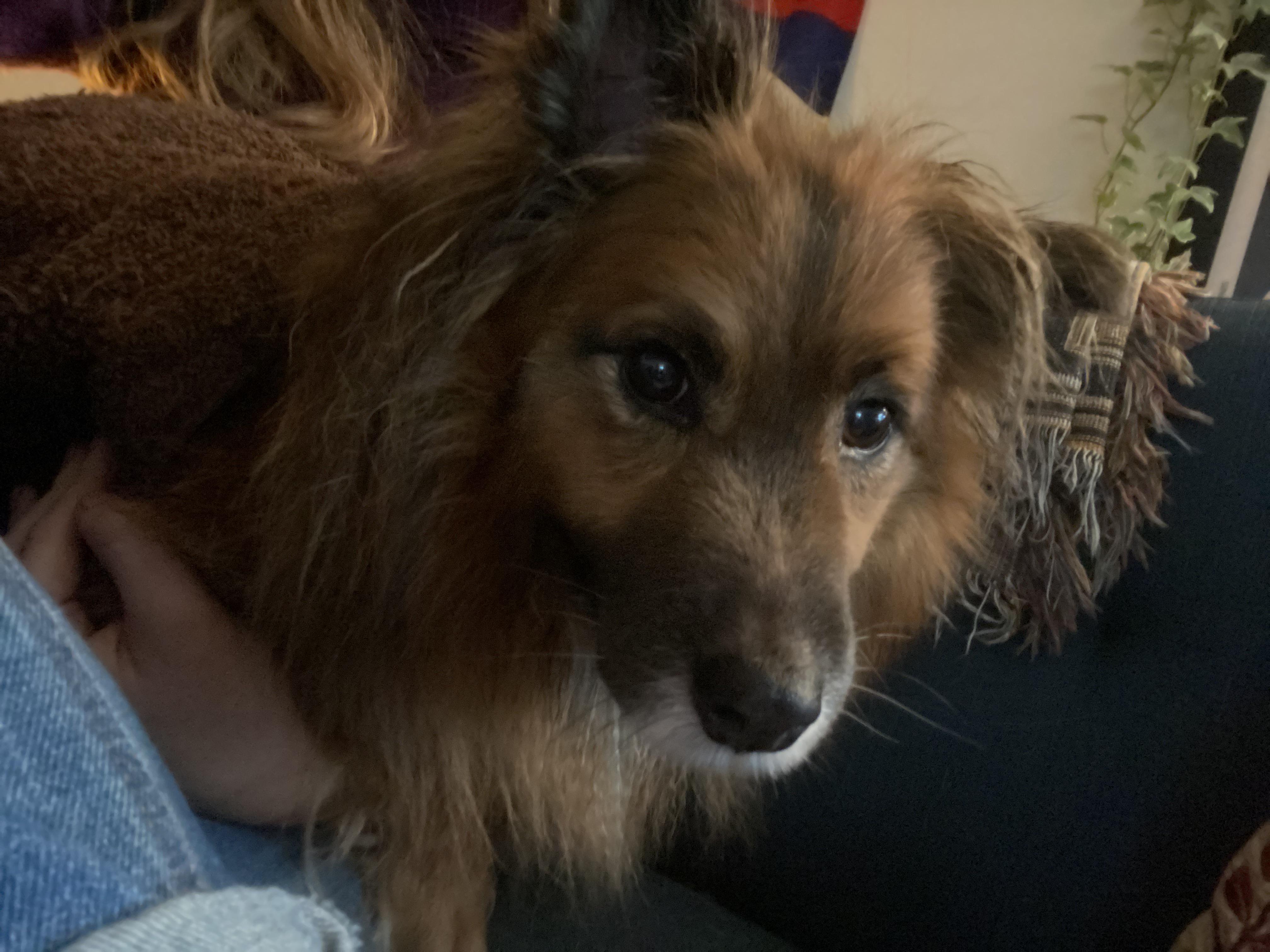 141 best Edgewood images on Pholder Atlanta, Cedarrapids and Golf