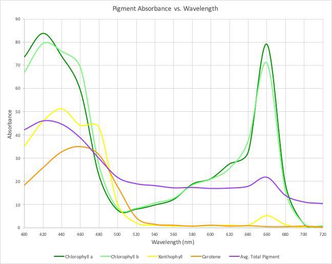 Pigment Absorbance vs. Wavelength in spinach leaves [OC] r