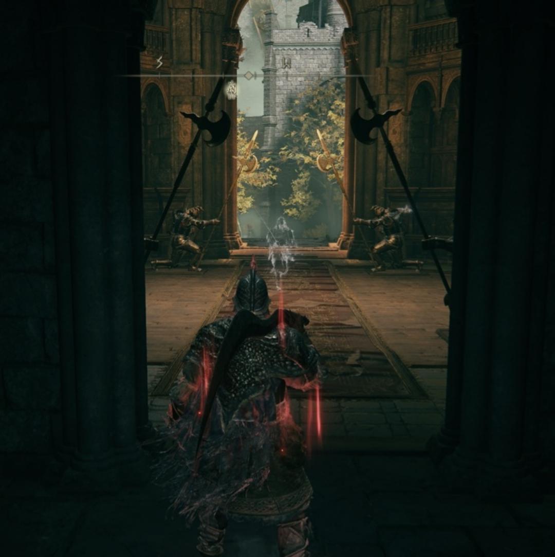 So this door has a white fog wall in front of it. It's the door to the Divine Tower of Limgrave