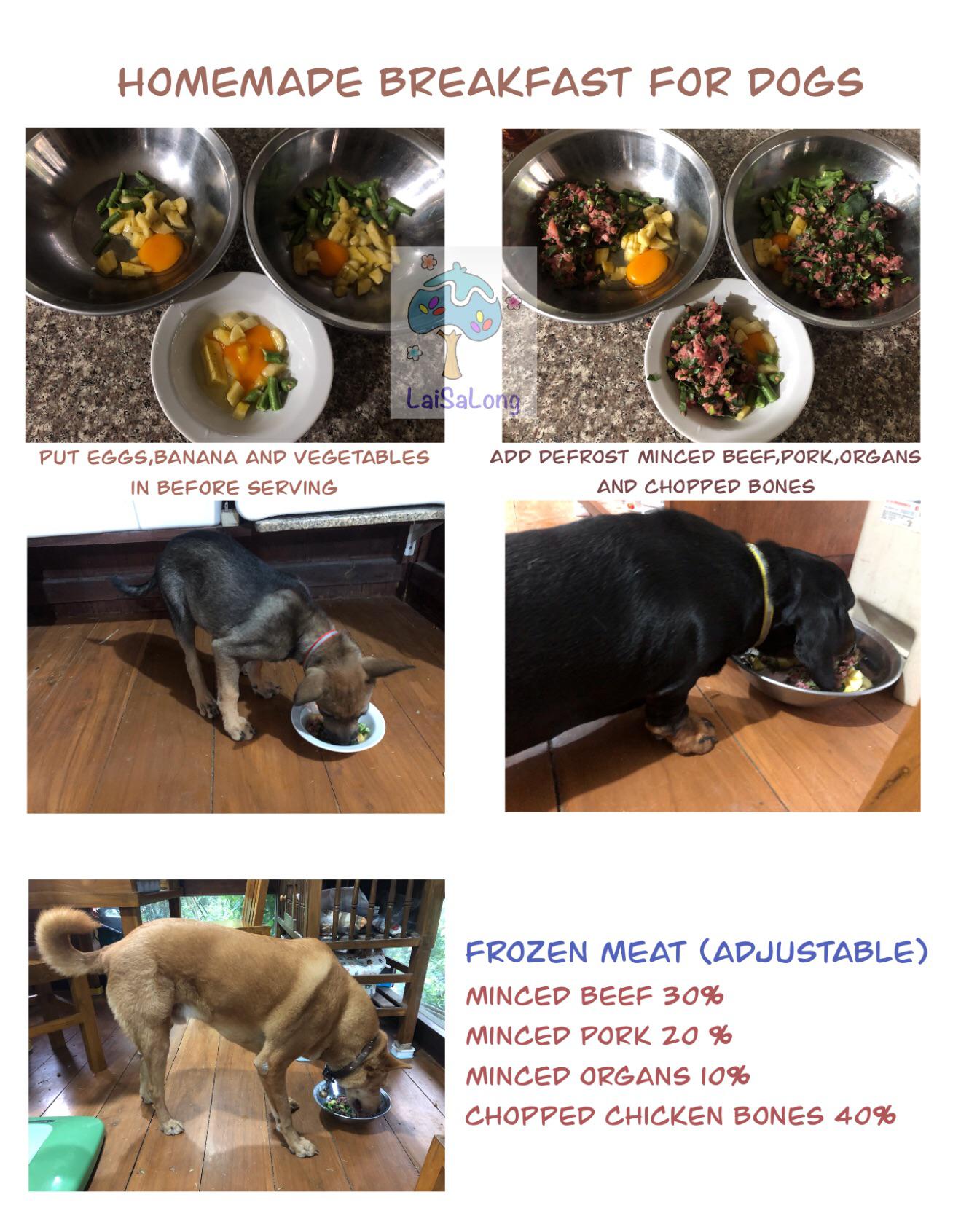 Our dogs have my homemade breakfast everyday without complaining. For dinner,I change from eggs