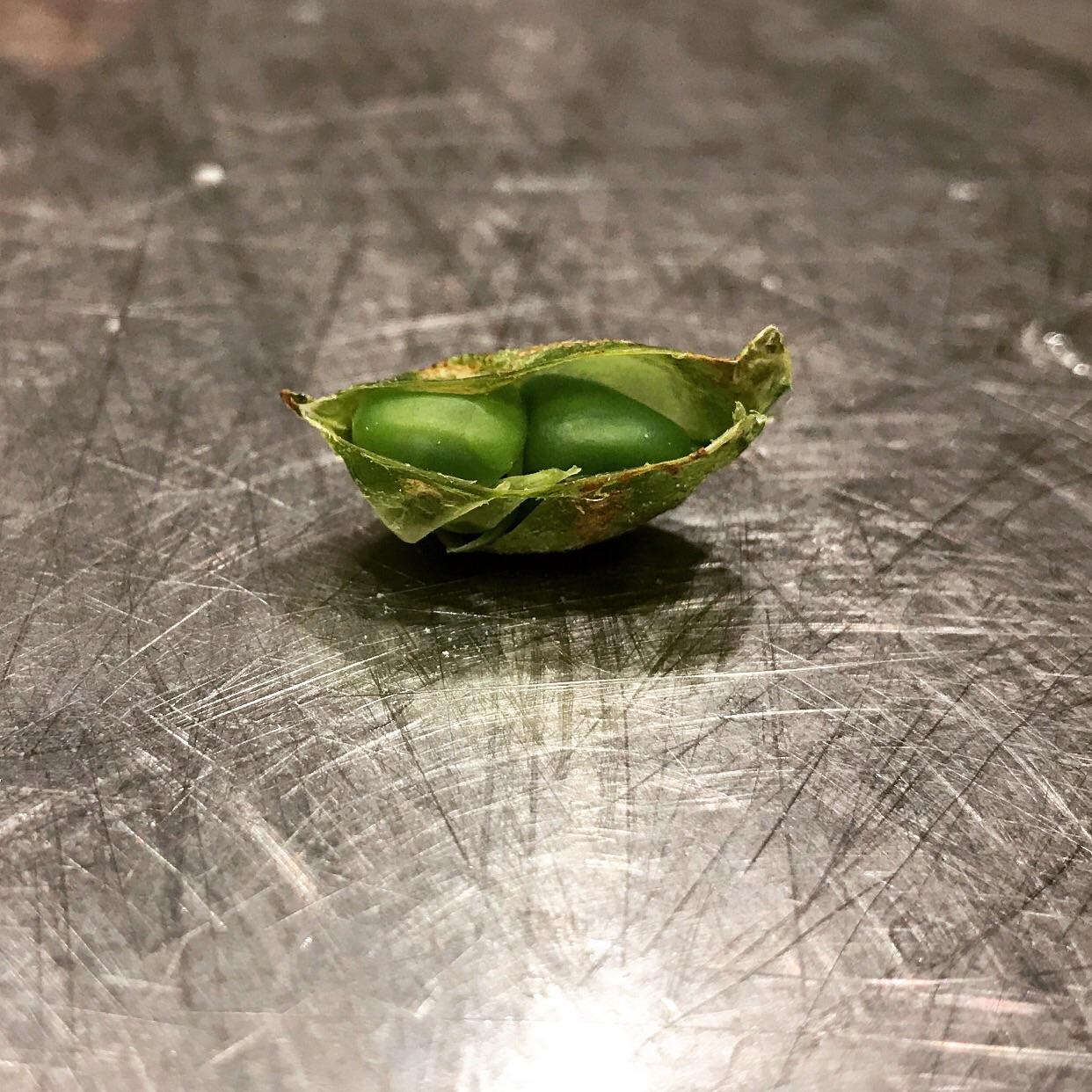 Two peas in a pod r/KitchenConfidential