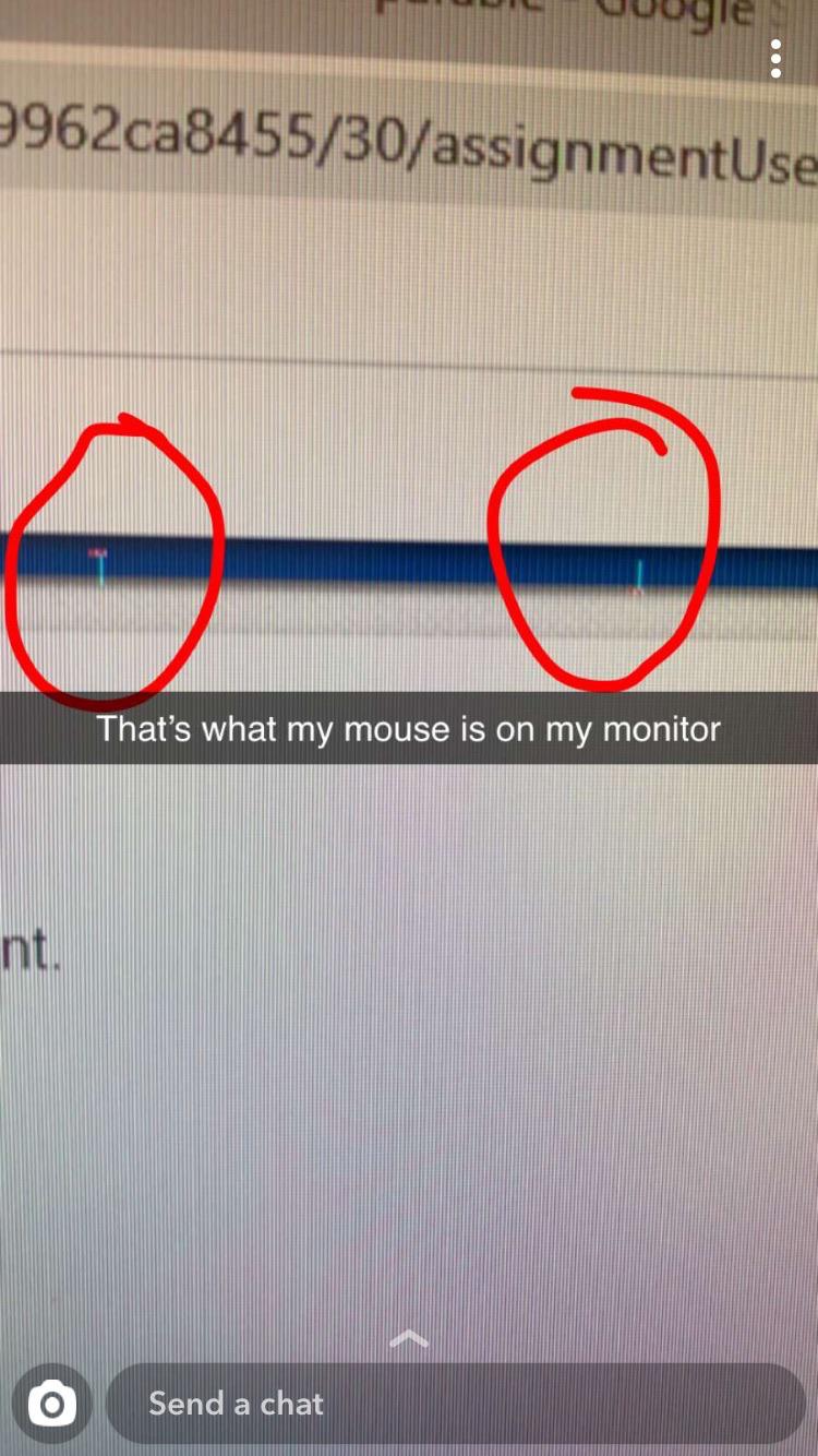 Can anyone help me with this problem with this blue line on dell