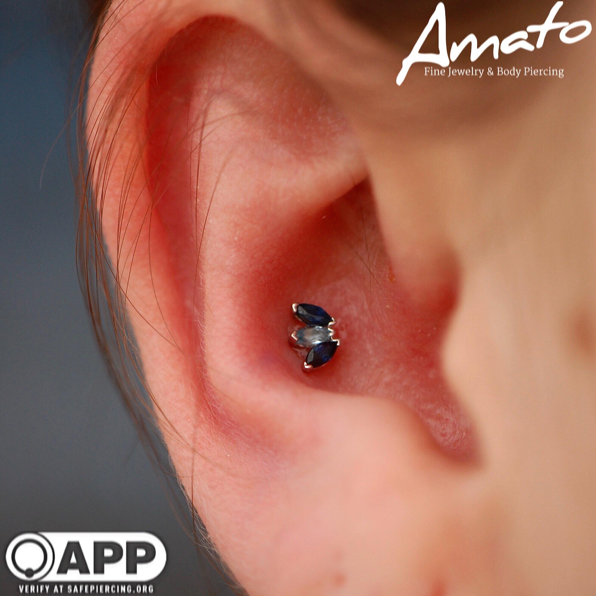 Fresh conch by Joe at Amato with an elegant Bvla marquise fan! piercing