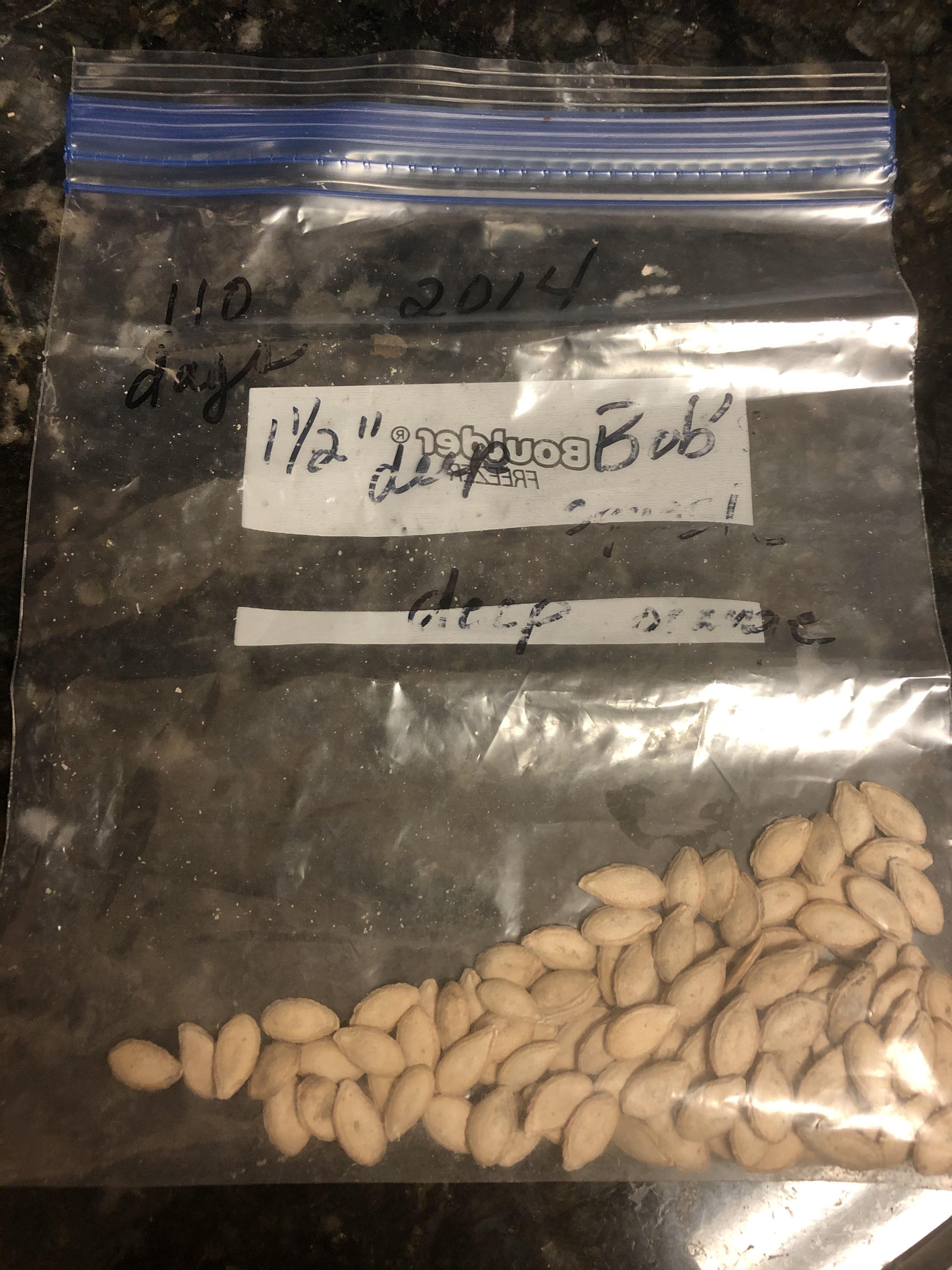 What’s the best way to germinate old seeds? r/gardening