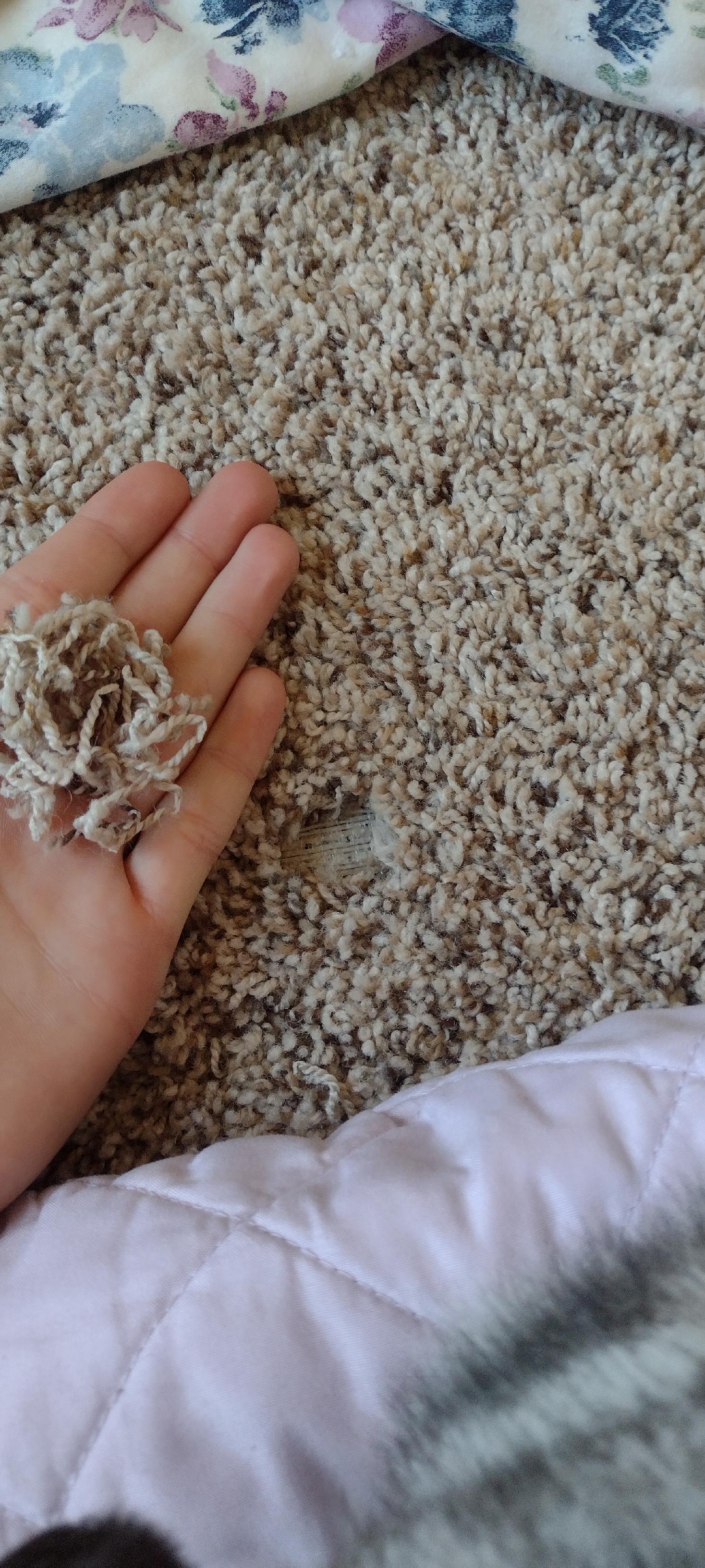 IMPORTANT my rabbits did this while I was gone.how do I reattach these