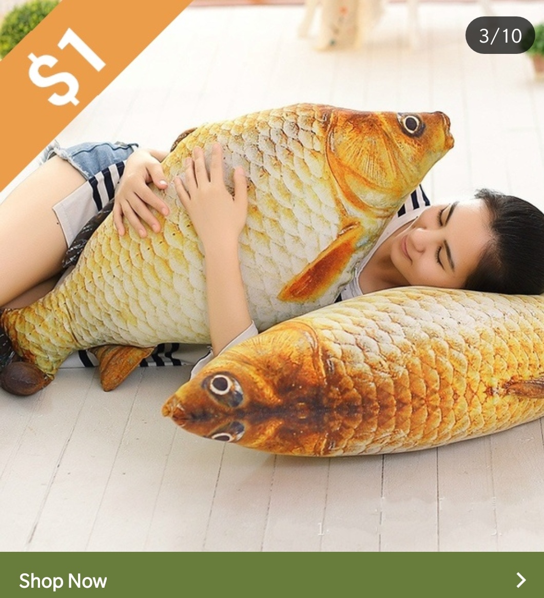 Fish body pillow? r/ThisIsAThing