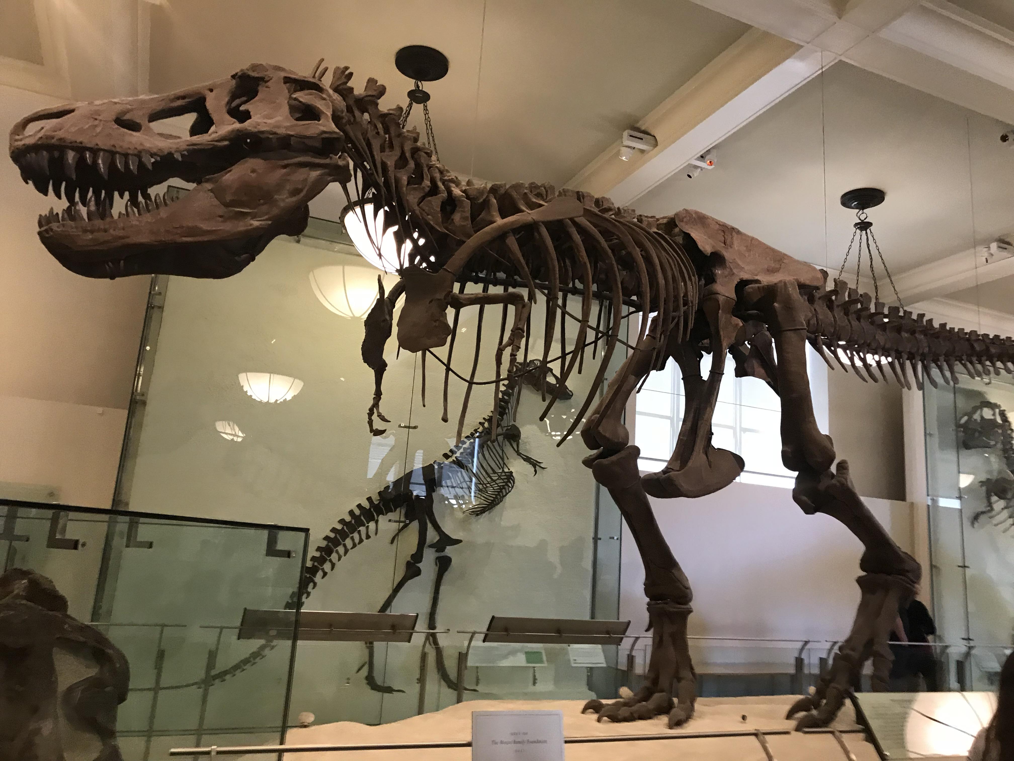 Another one of my Hundreds Of photos from the New York Museum Of