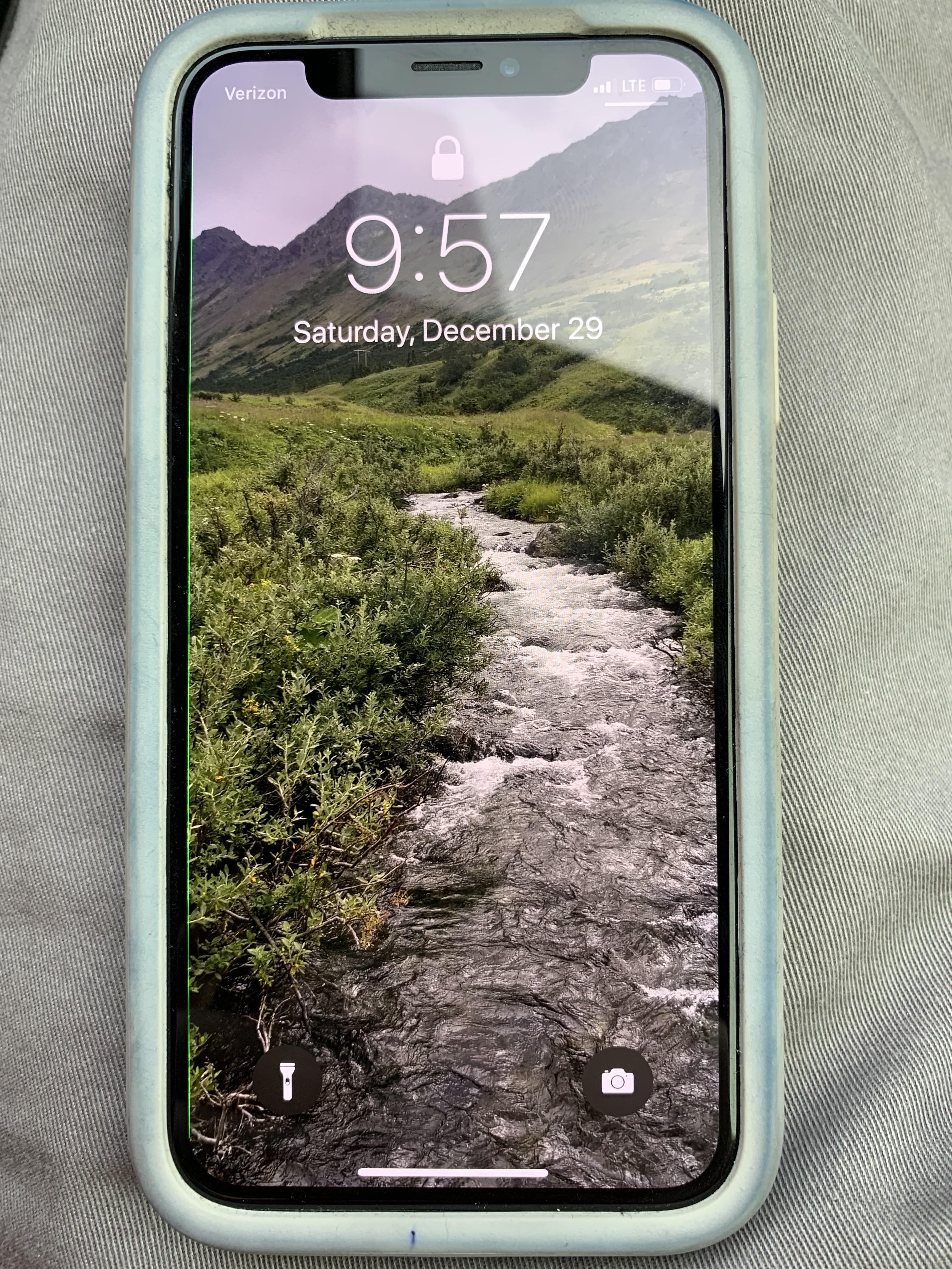 My girlfriend’s iPhone got the green line of death r/iphone