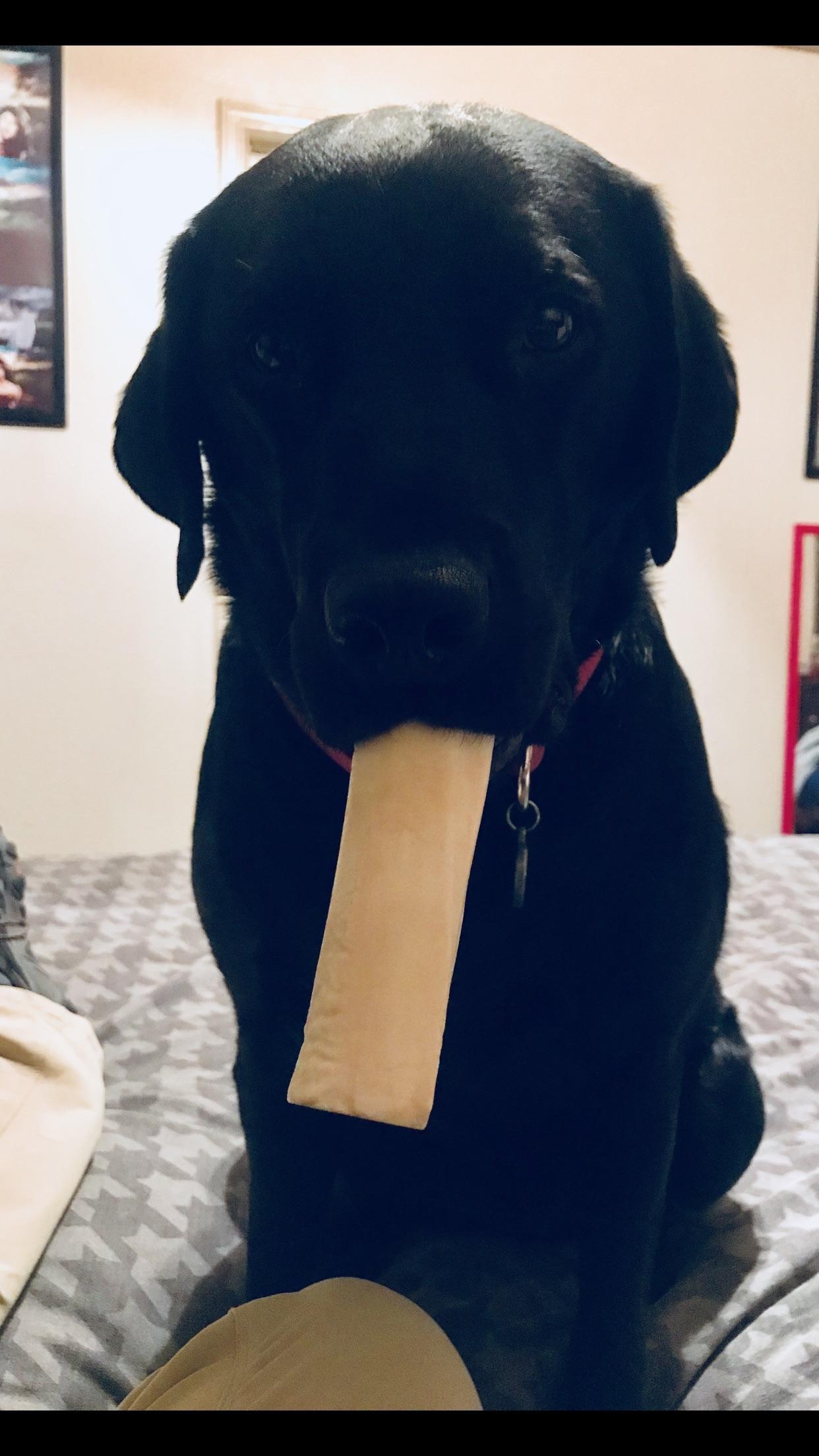 She brings me her treats when she thinks I am sad. r/aww