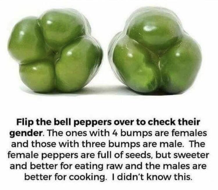 Plants have feelings!!! And gender identities!!!!!! r/vegancirclejerk