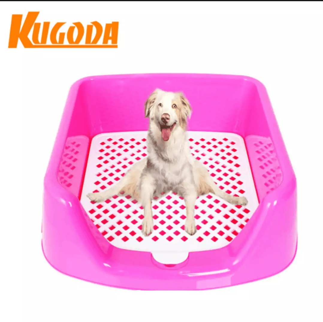 Pocket sized dog or giant litter box? Found on Lazada