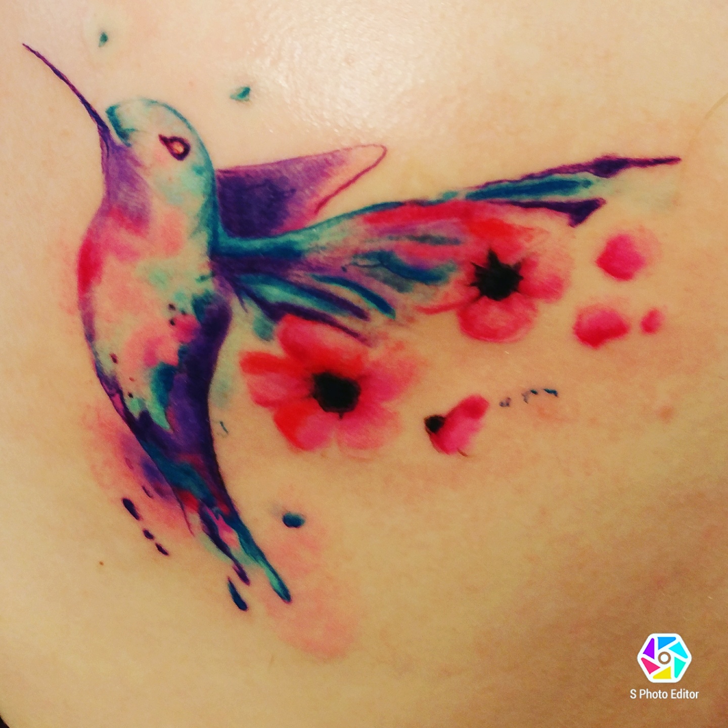 Watercolor Hummingbird by Jazz at Saint Ink in Montreal