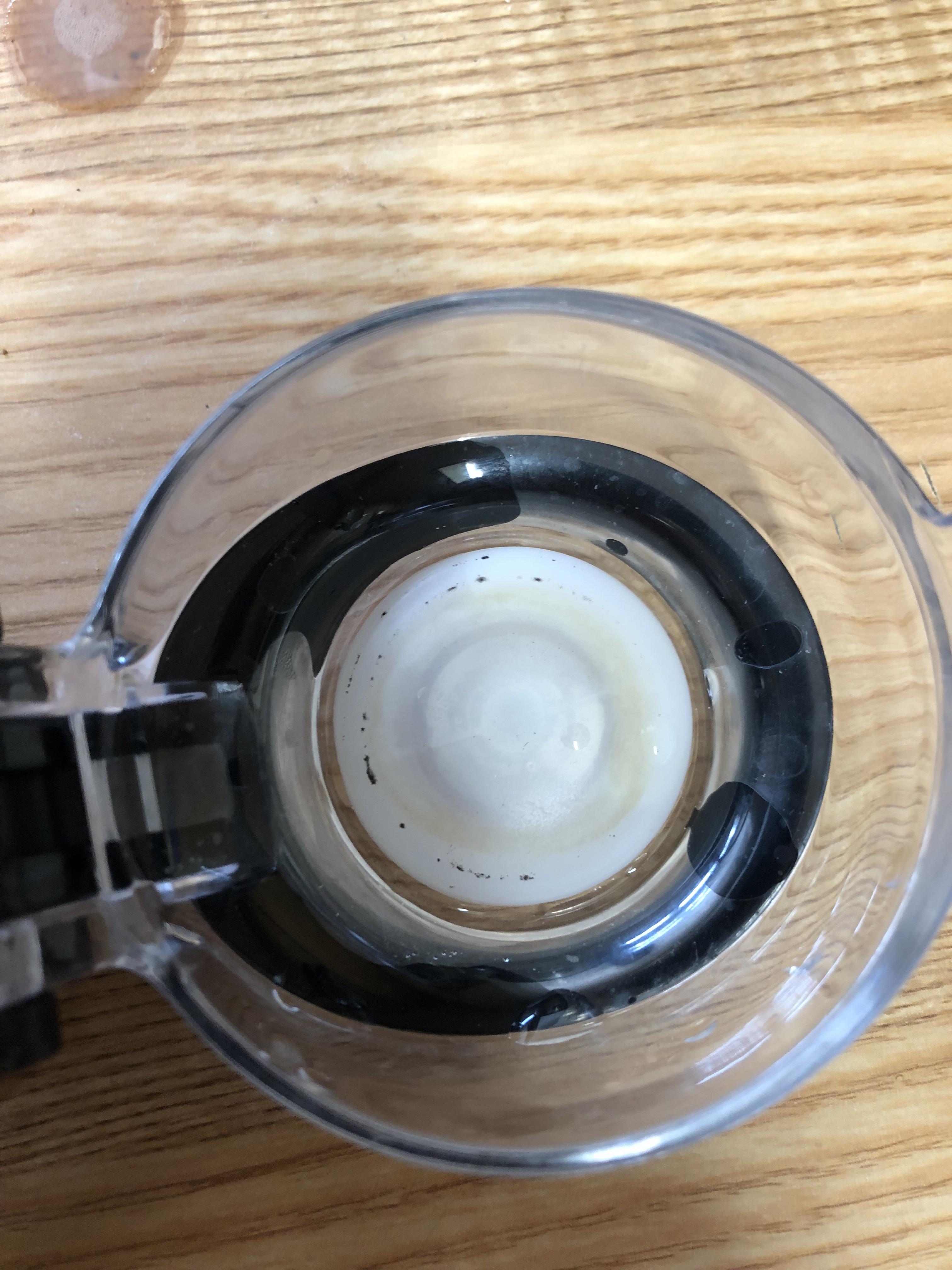 Rubber seal on water bottle lid has weird black flecks and green