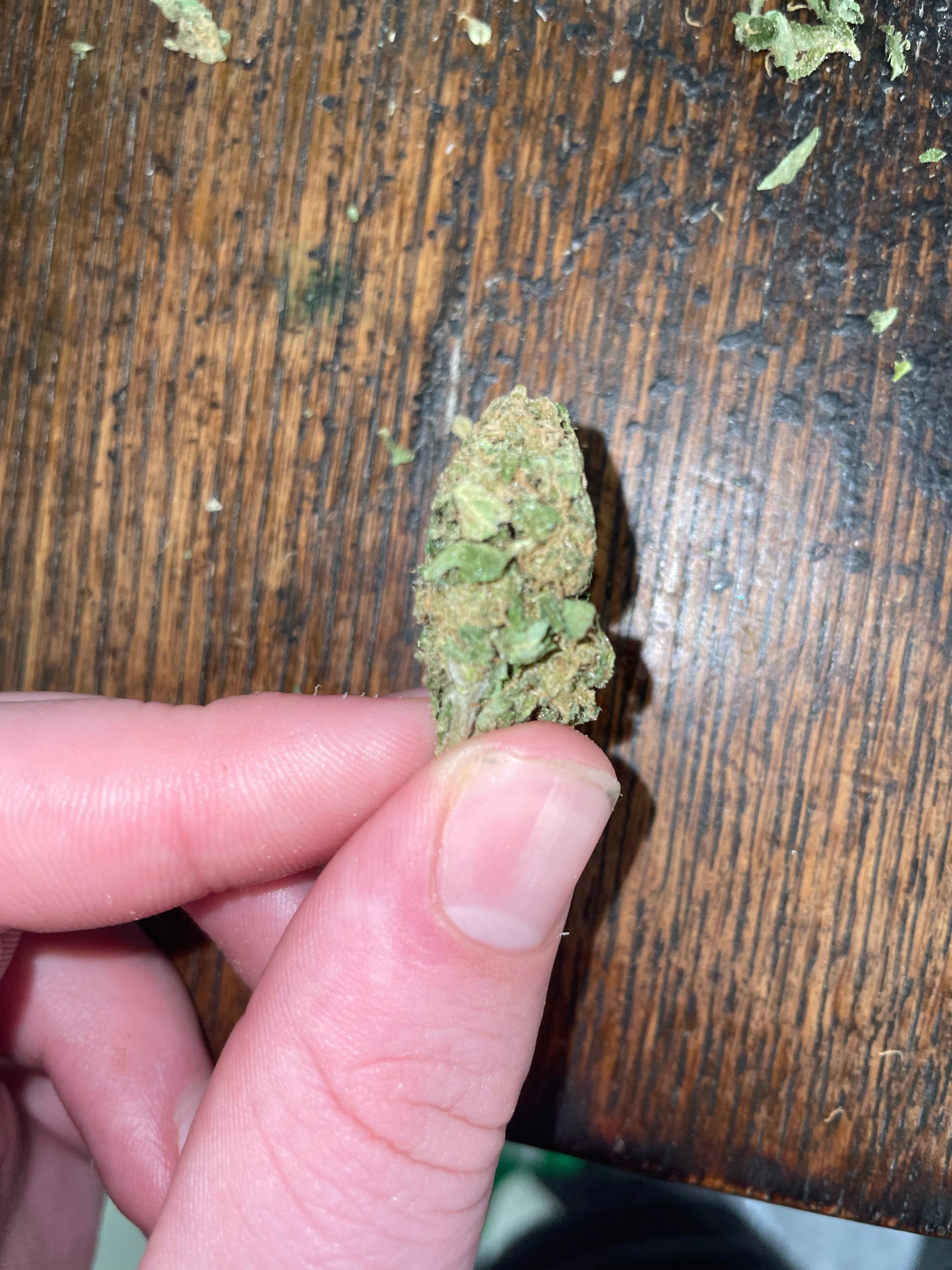New Zealand buds Super dense. (Dunedin) r/weed