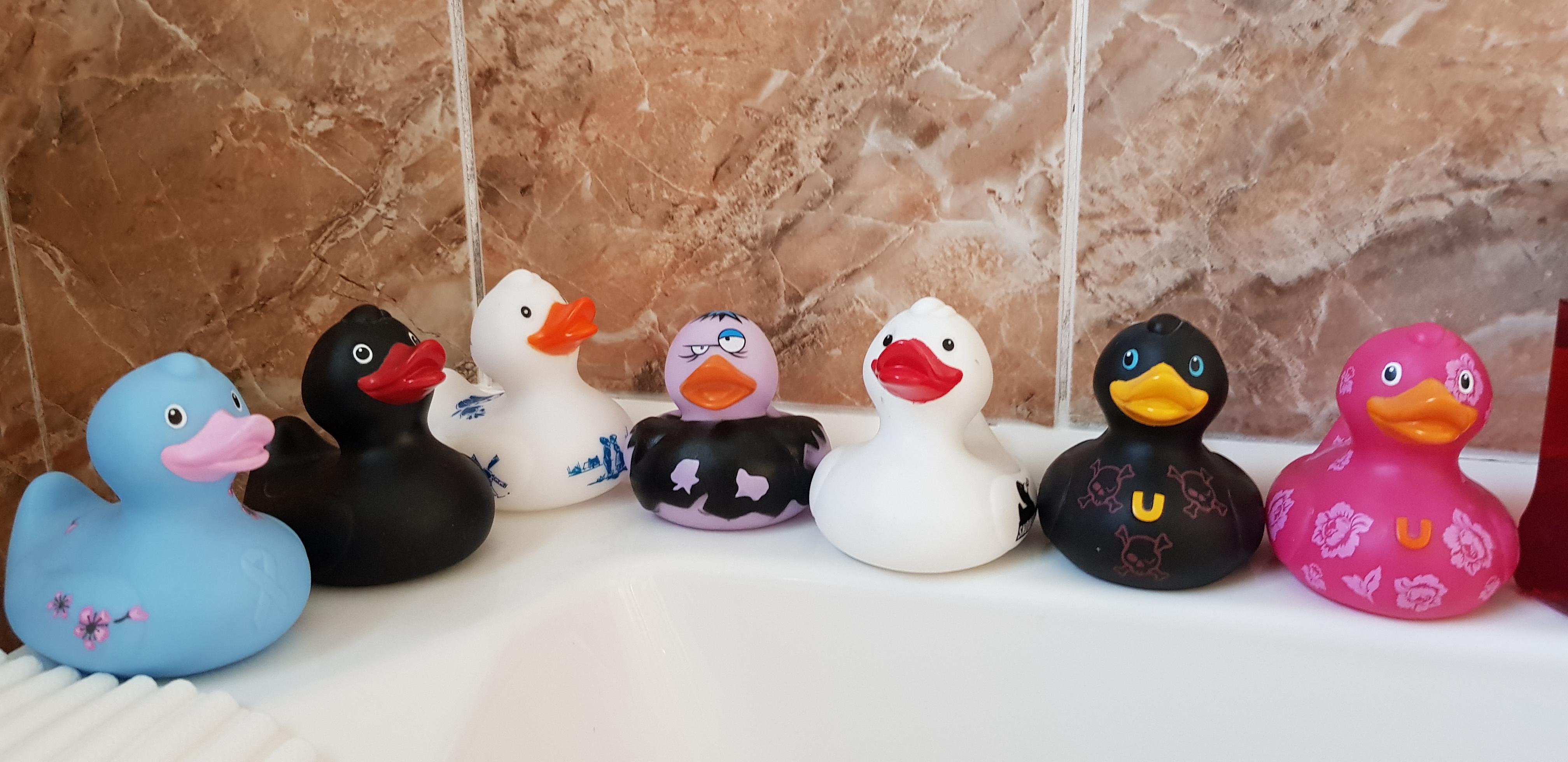 The ducks in my friends bathroom r/rubberducks