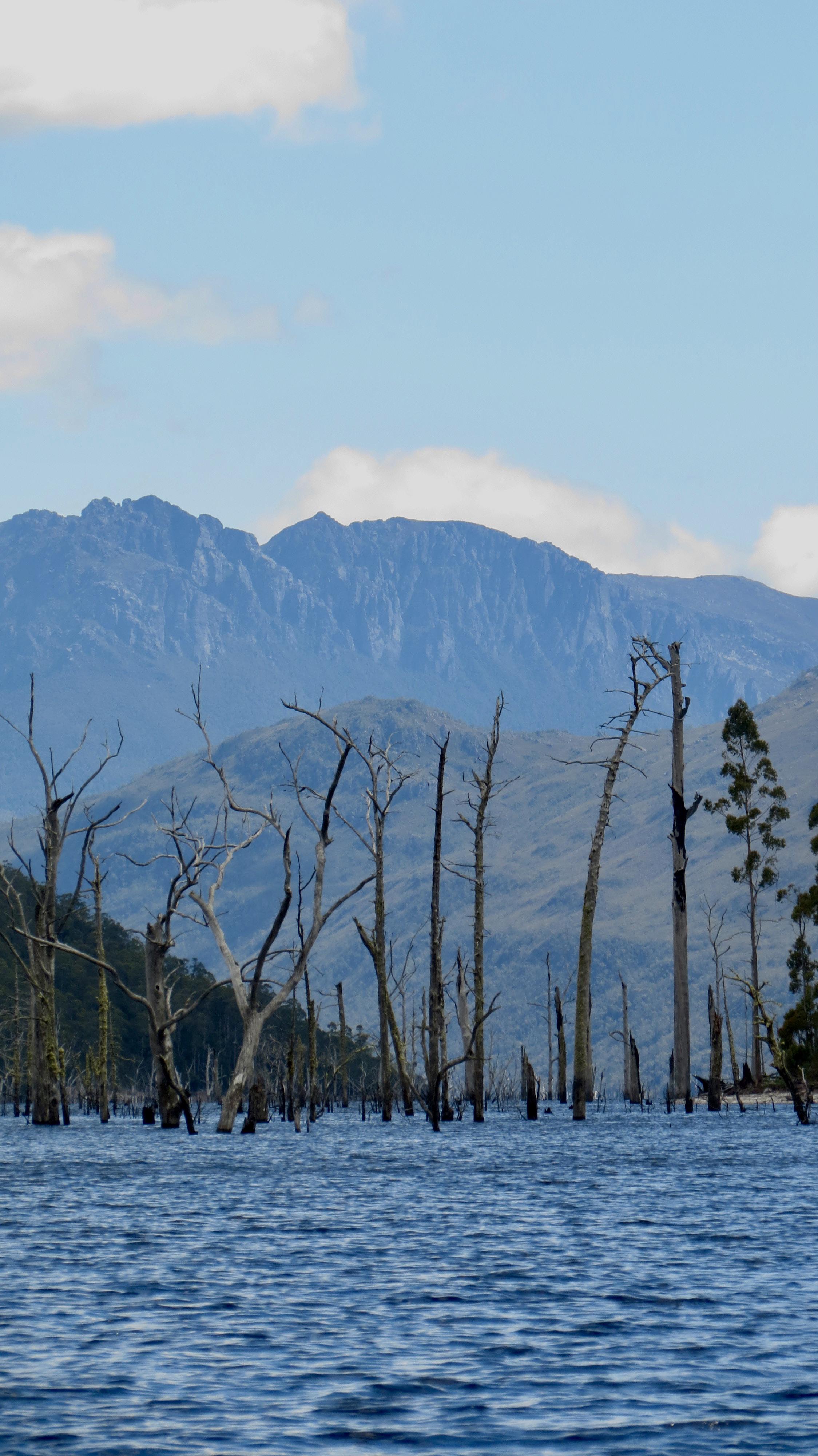 Lake Mackintosh, Tasmania [OC] [2248×4000] Images Images