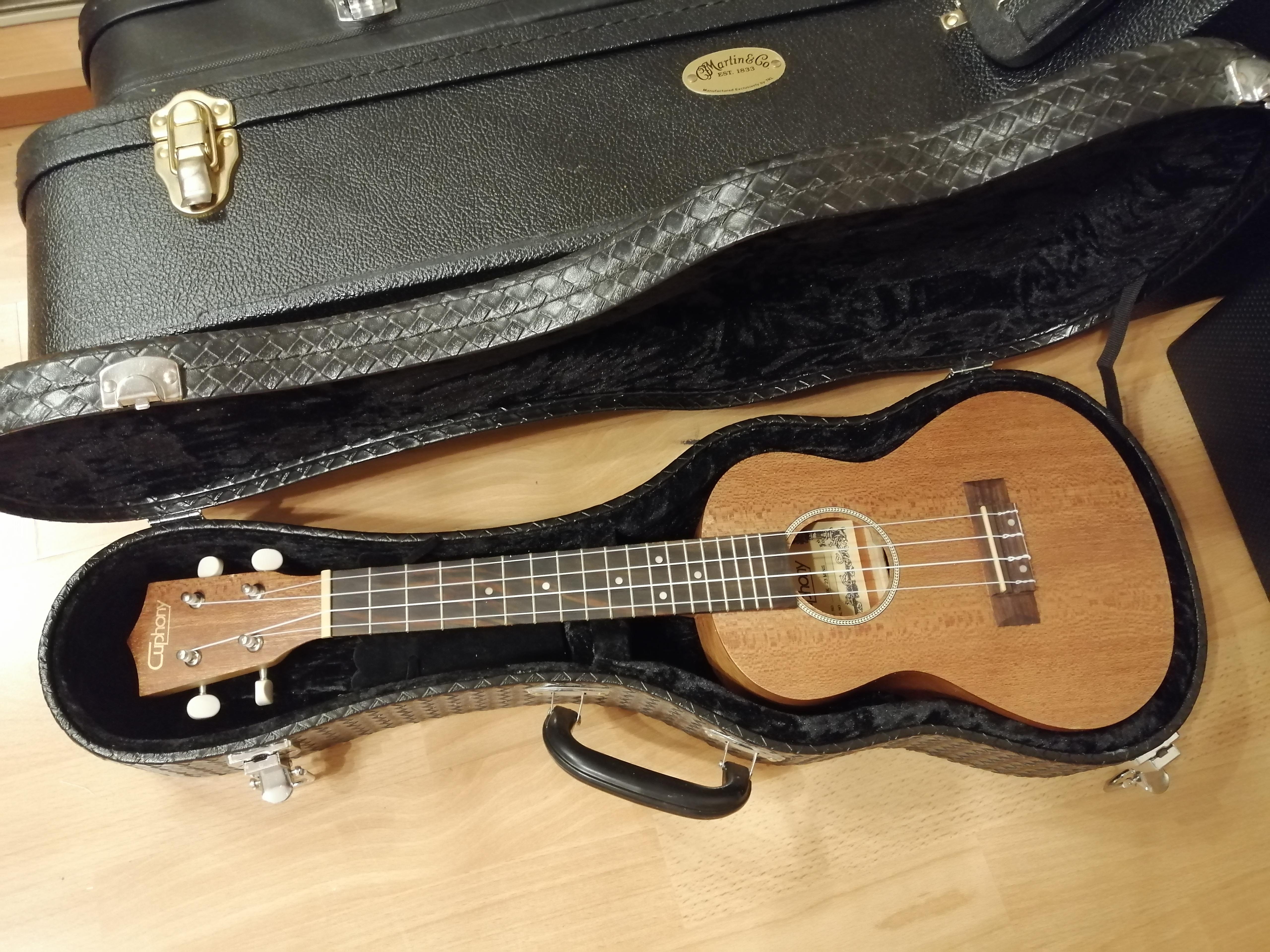 I play the ukulele, and I sing, too.) All baggage you do not check in