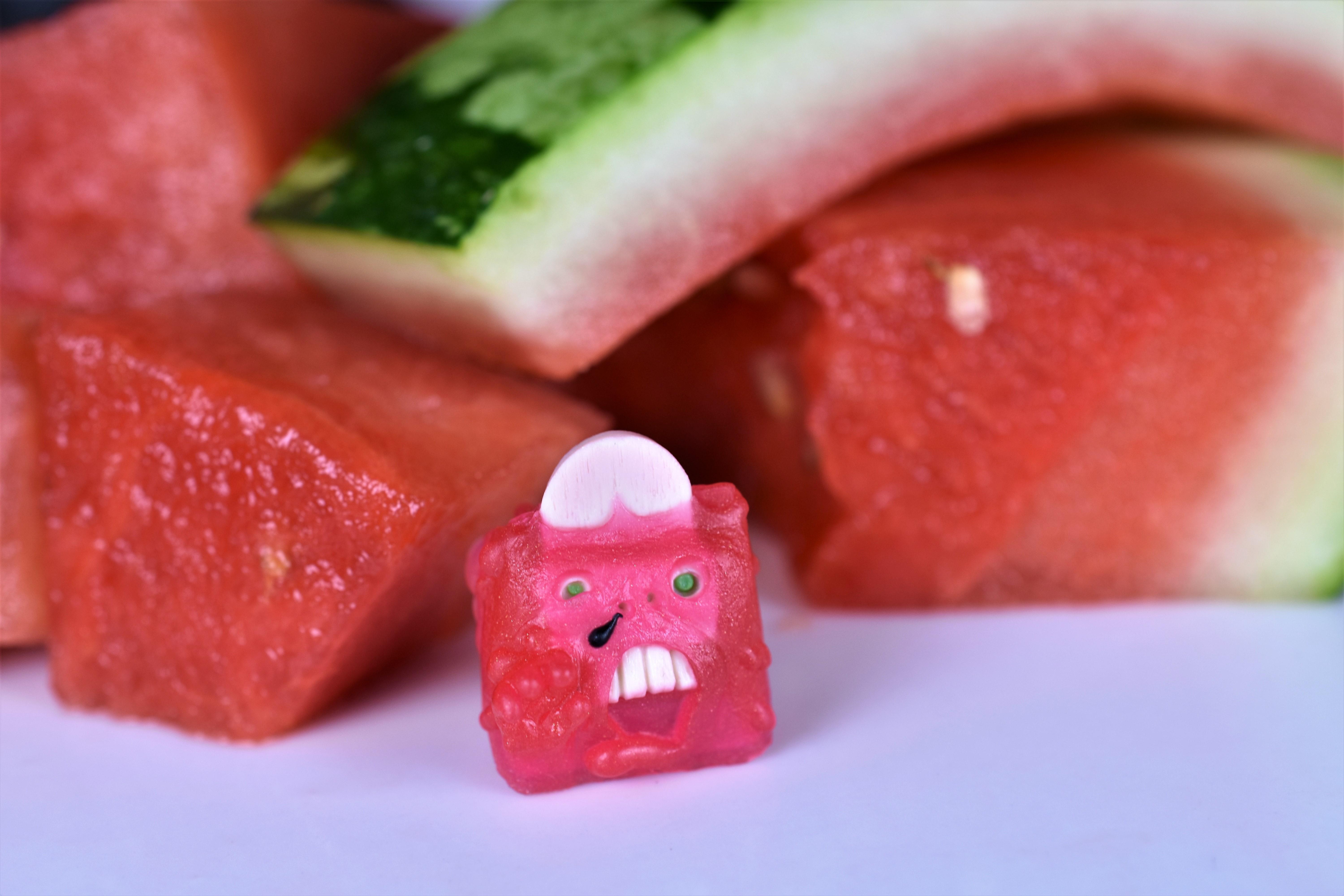 One in a Melon r/ArtisanMacro