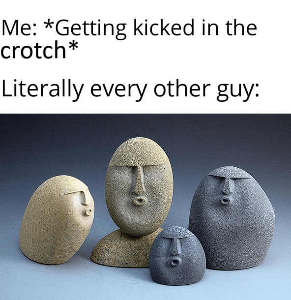 Balls of steel r/memes