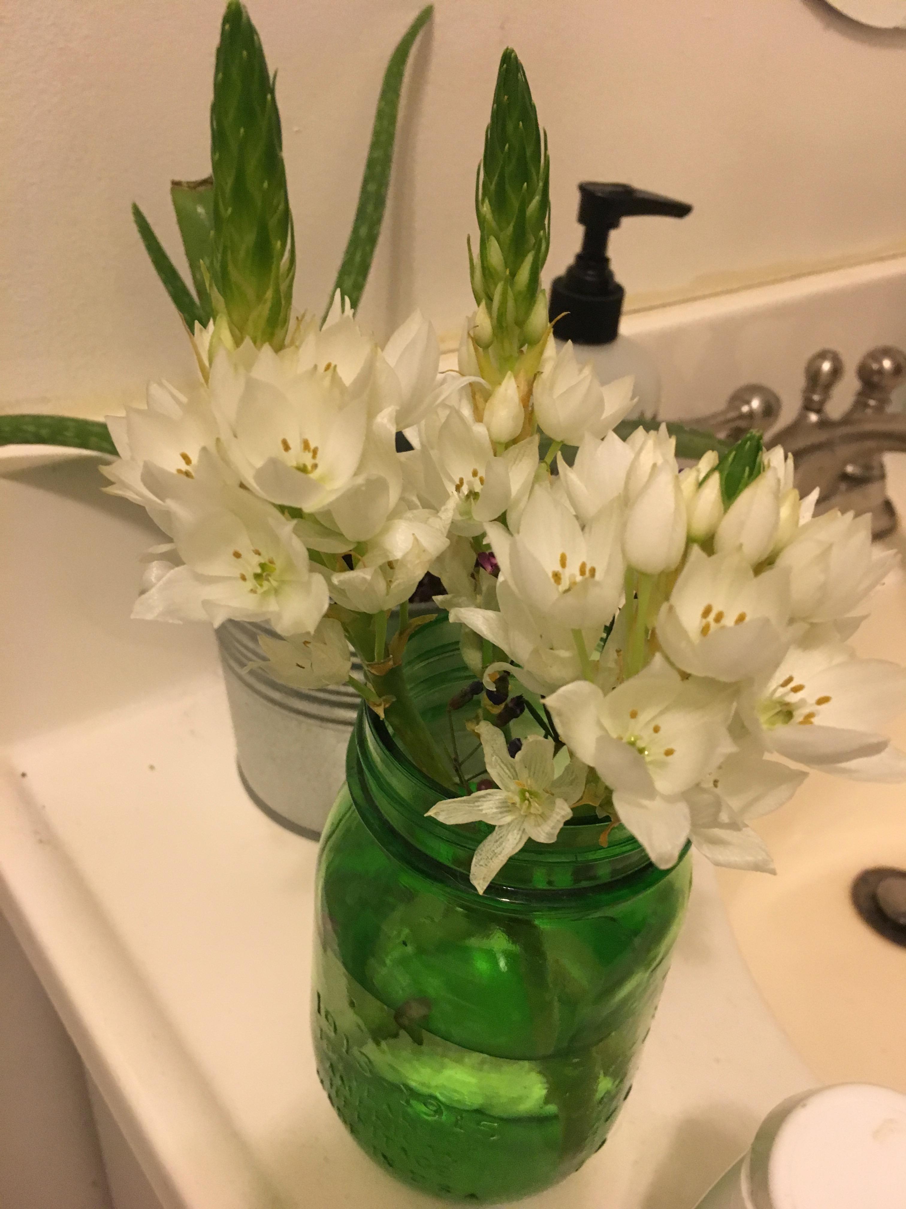 [store bought] Flowers from a buquet r/whatsthisplant
