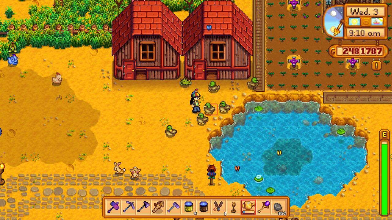 why aren’t my ducks swimming in the pond? i moved their pen right