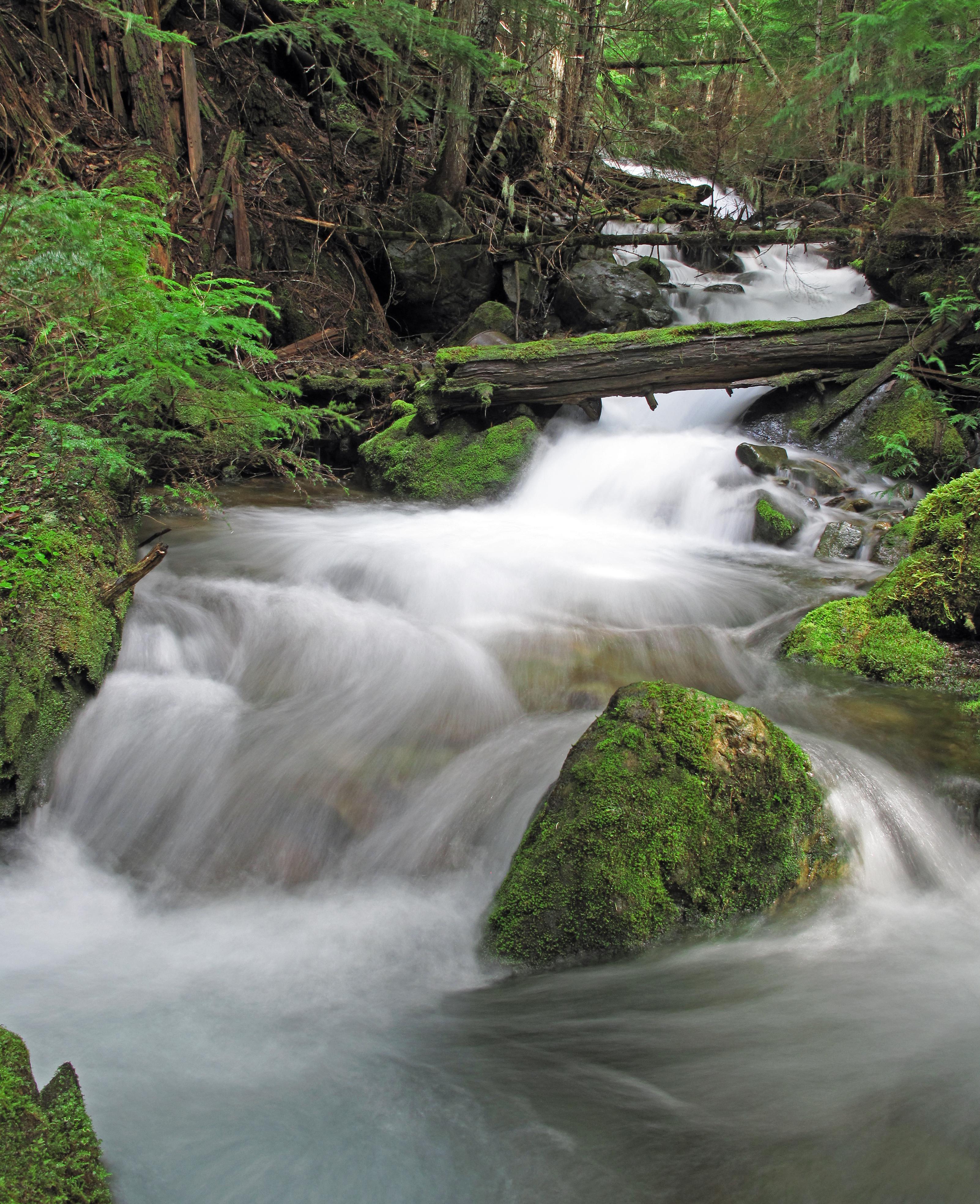 Crystal Creek, Washington State [OC] [3204x3935] r/EarthPorn