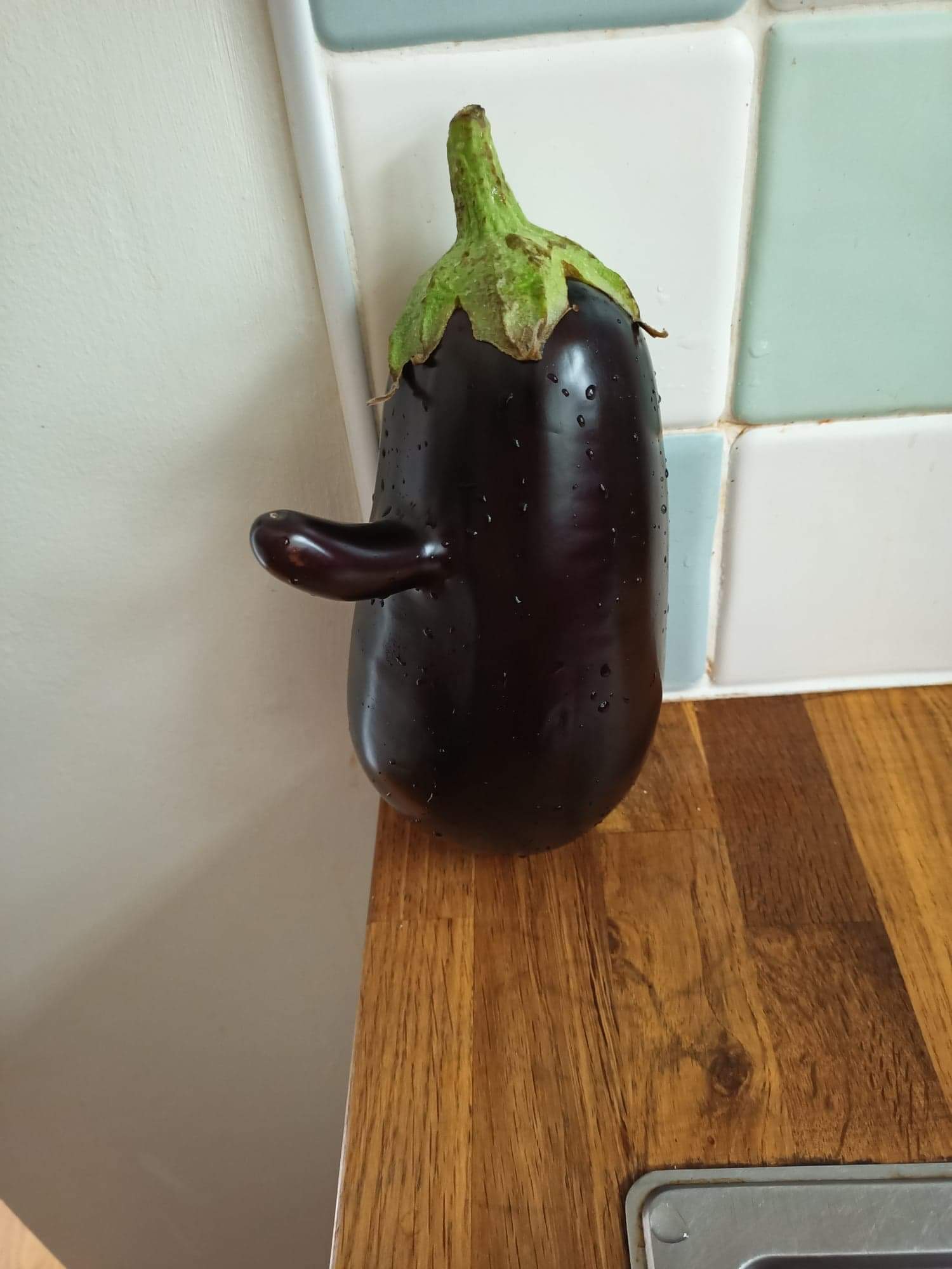 Just your everyday aubergine right? r/vegetablegardening
