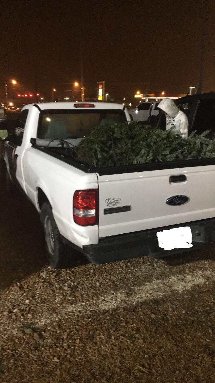 Rangers are the perfect Christmas tree haulers! r/fordranger