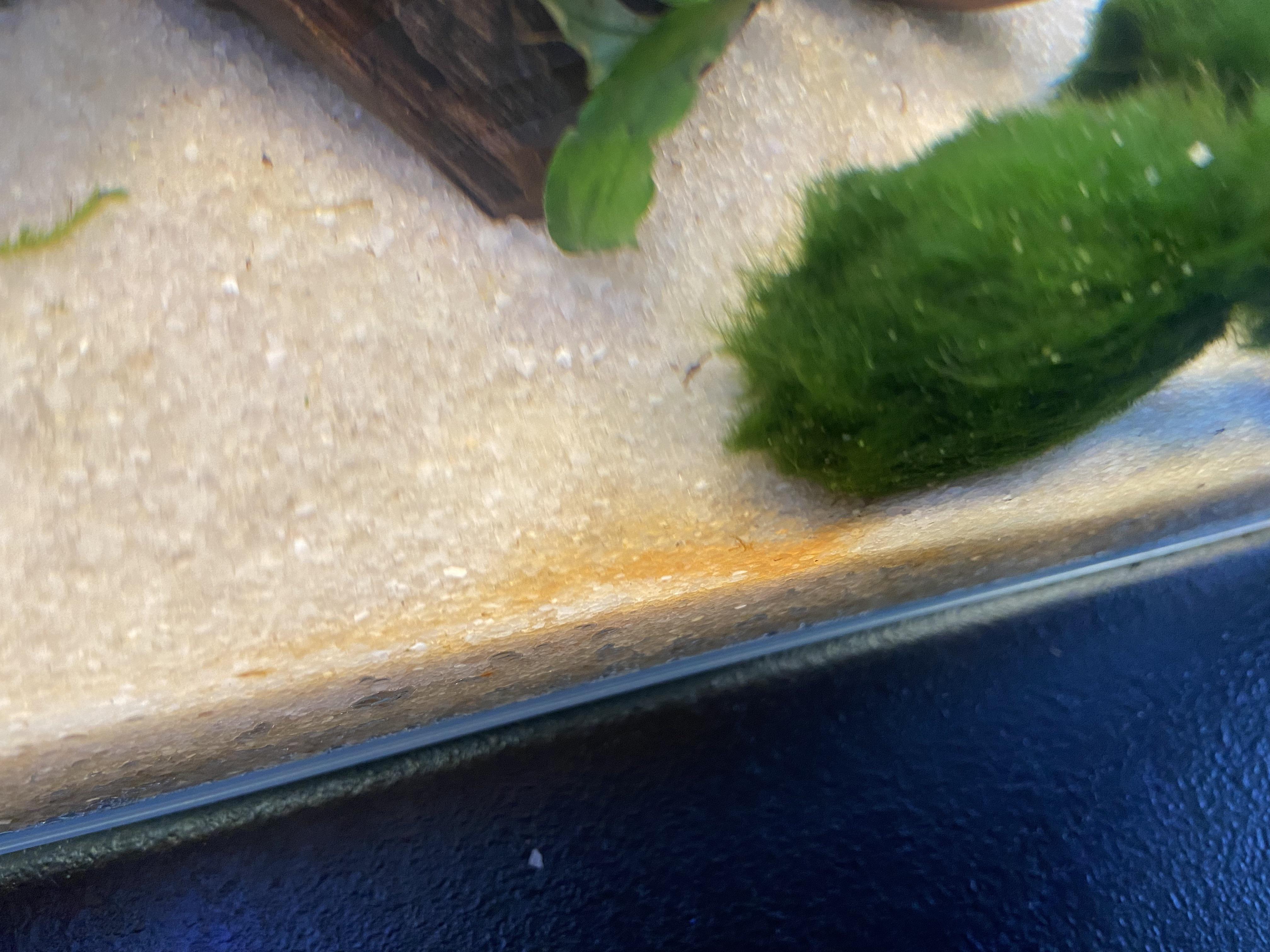 New setup any thoughts on what this orange stuff could be? I finished