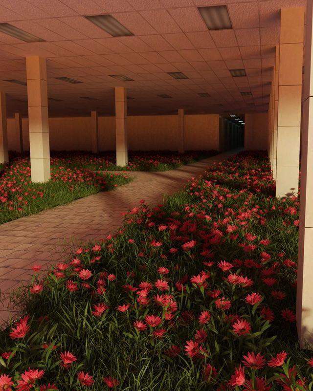 Flowers r/LiminalSpace