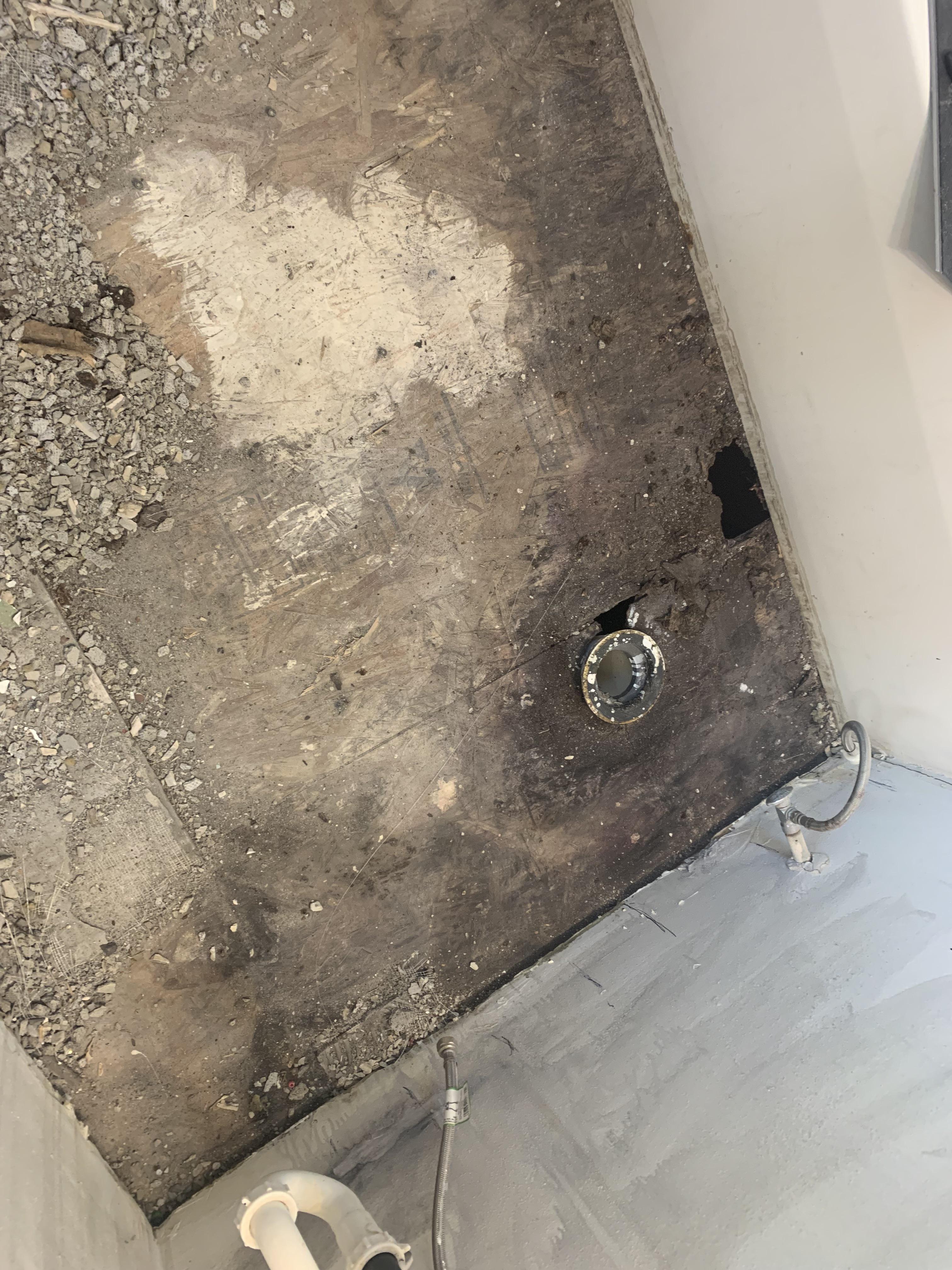 Should I replace the entire subfloor? Do I need to do anything to check