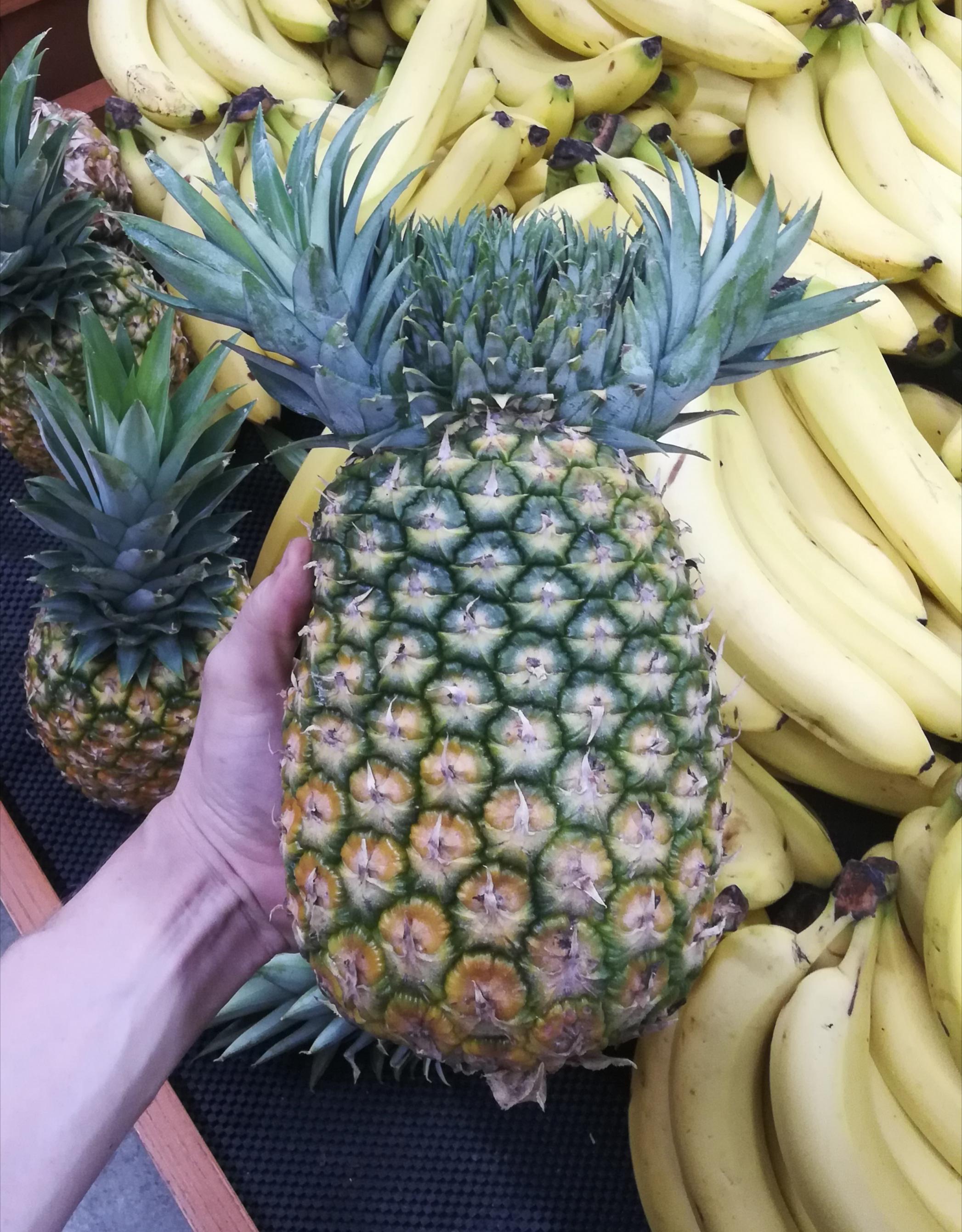 This pineapple has a unique crown. NaturePatterns