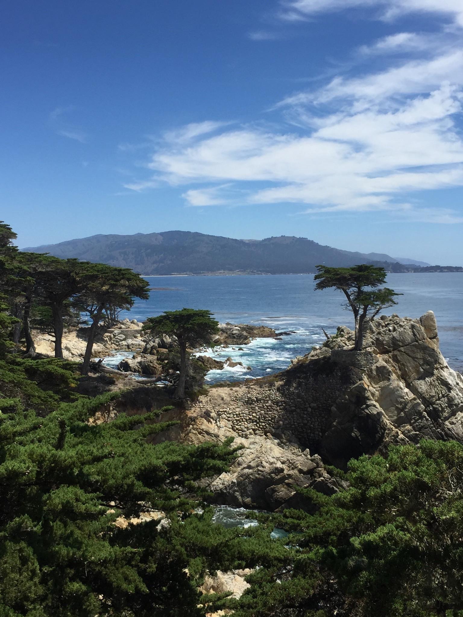 Del Monte Forest, CA, USA [OC] [2448x3264] r/EarthPorn